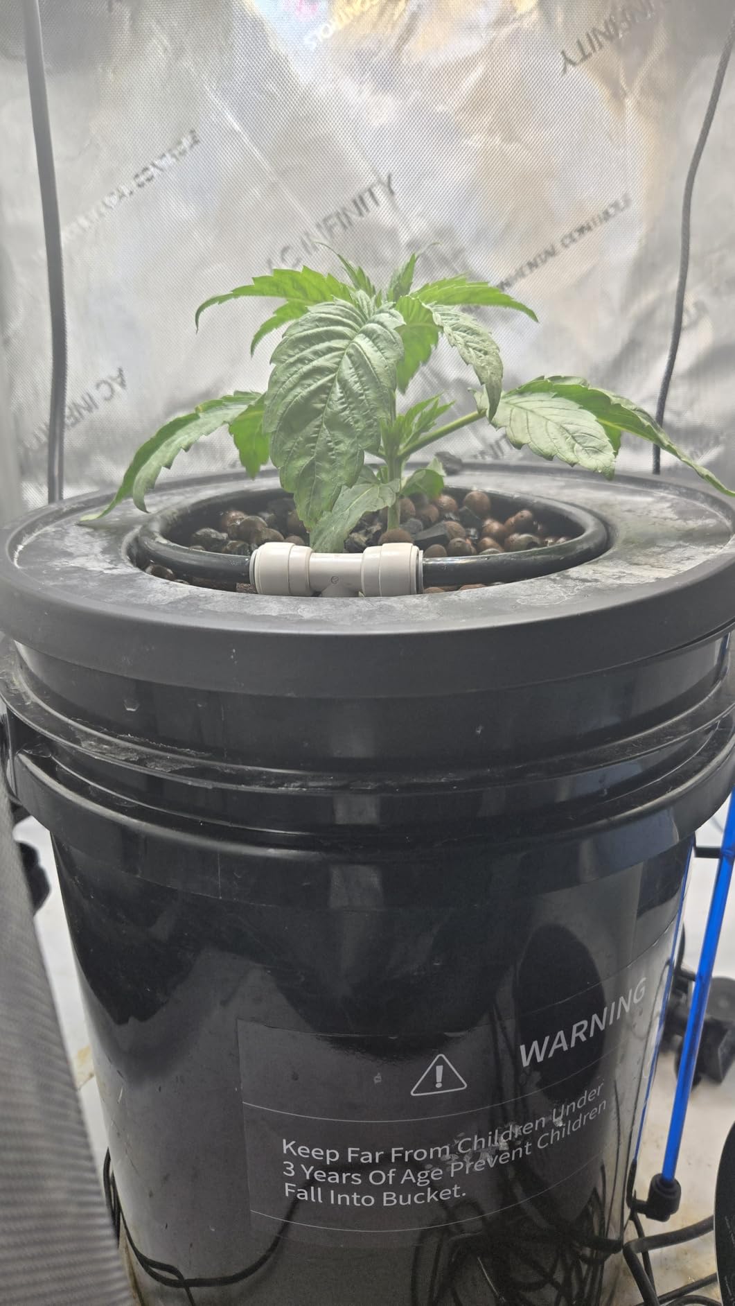 MARS HYDRO DWC Hydroponics Grow System Kit with Recirculating Top Drip, 11W Air Pump, Air Stone, Hose & 4 Buckets, 5 Gallon Deep Water Culture Indoor Hydroponic System customer photo 2