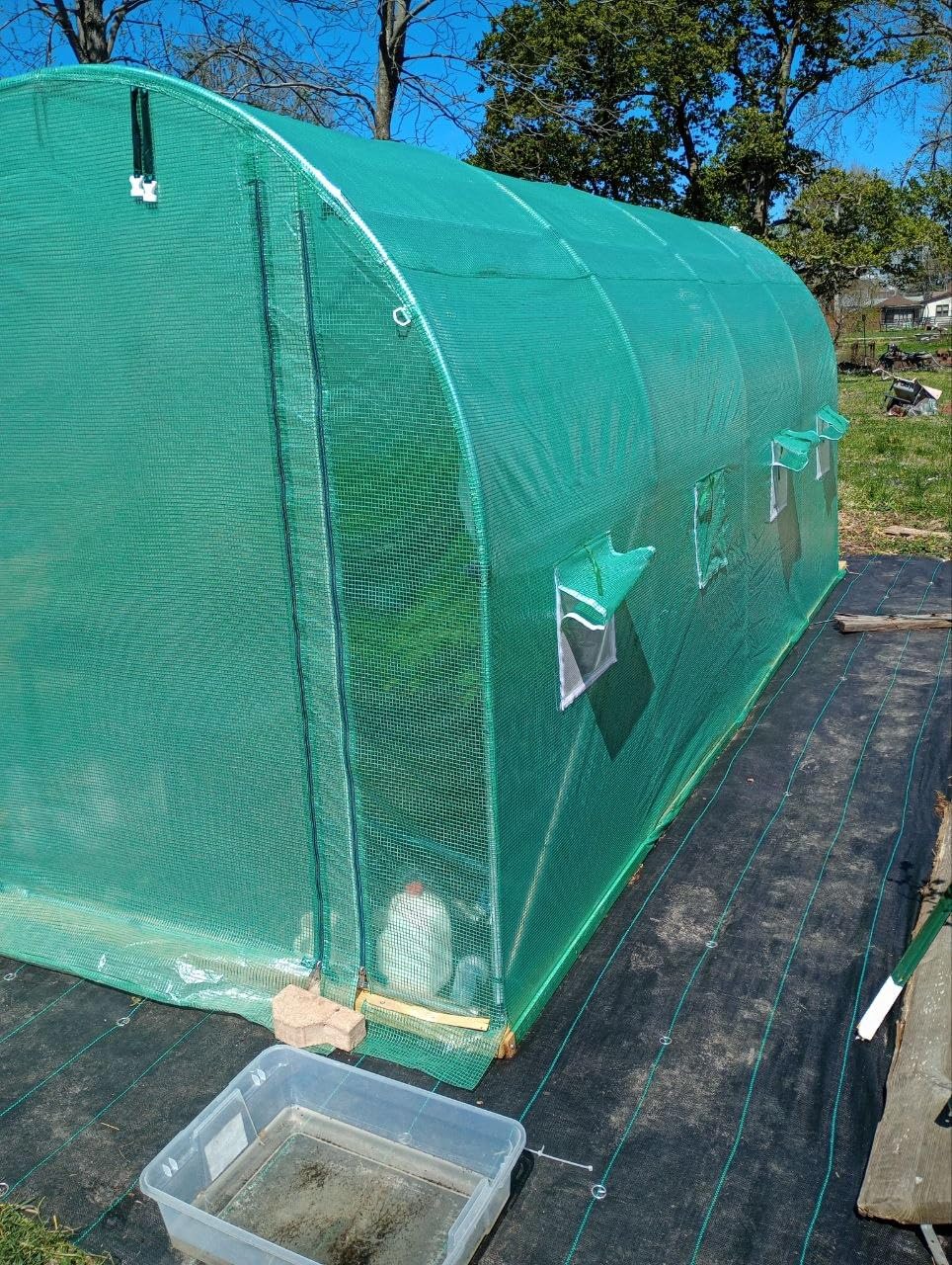 KING BIRD Premium 20x10x6.6FT Greenhouse for Outdoors, Large Walk-in Upgraded Galvanized Metal Frame, Mesh Door Screen Window Improved Zipper Tunnel Hoop for Garden Plant Winter, 2 Stiffeners, White customer photo 2