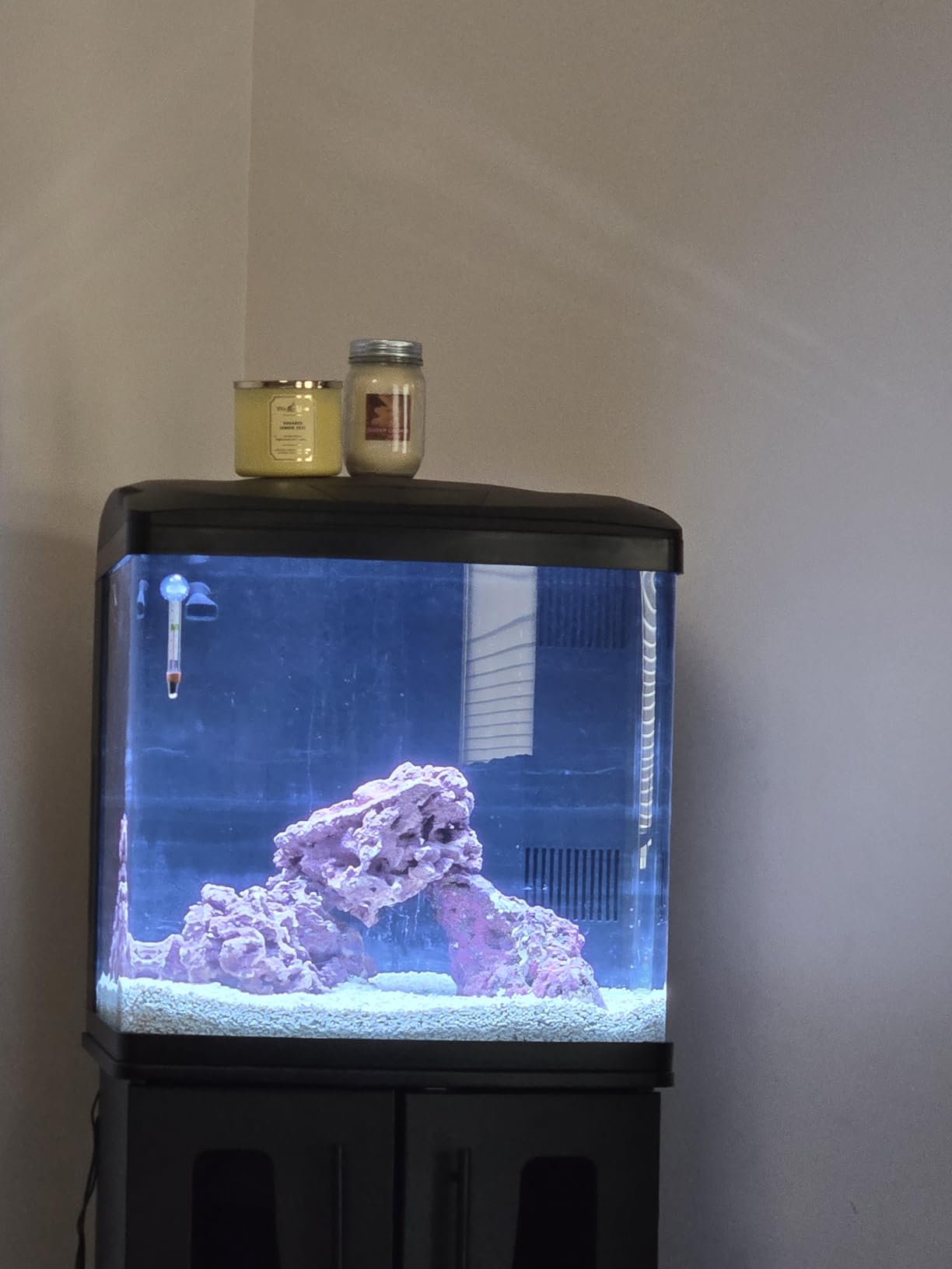 Coralife SMART BioCube Jr, Aquarium Kit, Wi-Fi and Bluetooth Compatible, for Saltwater and Freshwater Environments, 14 Gallons customer photo 1