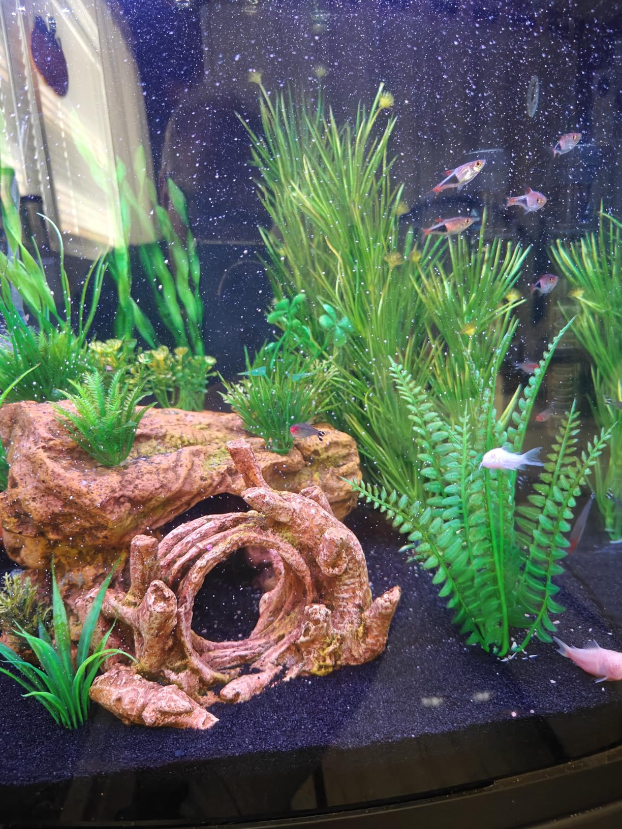 Coralife SMART BioCube Jr, Aquarium Kit, Wi-Fi and Bluetooth Compatible, for Saltwater and Freshwater Environments, 14 Gallons customer photo 2