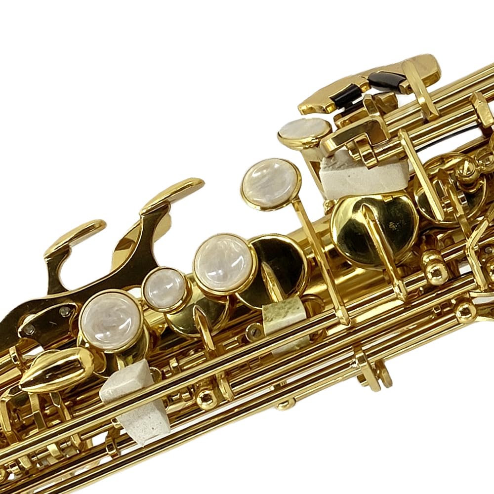 Bb Straight Soprano Saxophone-Gold Lacquer Finish, Ergonomic Design with Case, Mouthpiece, Neck Strap & Accessories, Ideal for Beginners & Advanced Players customer photo 2