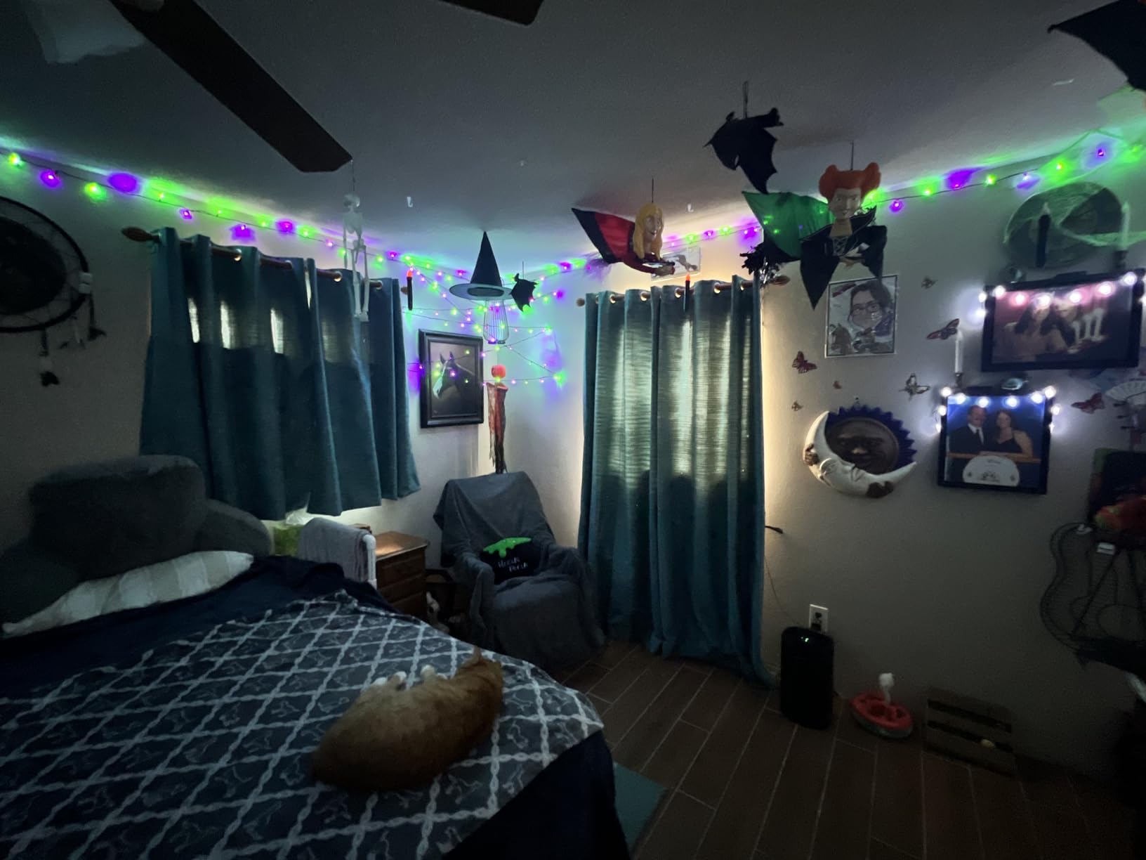 Brizled Smart Christmas Lights, 98.4FT 300 LED Color Changing Christmas Lights with APP/Voice Control, Warm White & Multicolor Fairy String Light Music Sync Xmas Tree Light for Indoor Outdoor Decor customer photo 2