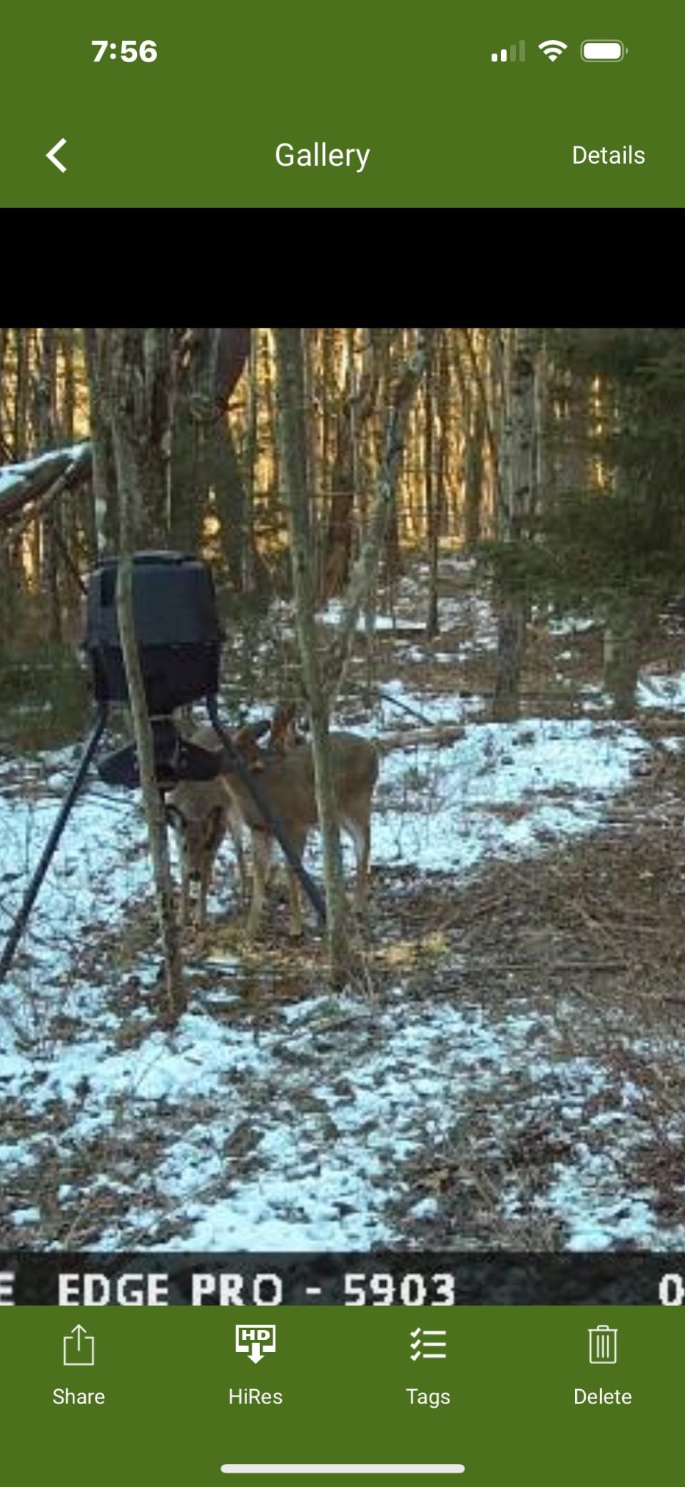 Moultrie Gravity Deer Feeder - Tripod Game Feeder - Easy Conversion Adapter - Protein Pellet Ready - Rugged No-Power Setup for Deer Management customer photo 1