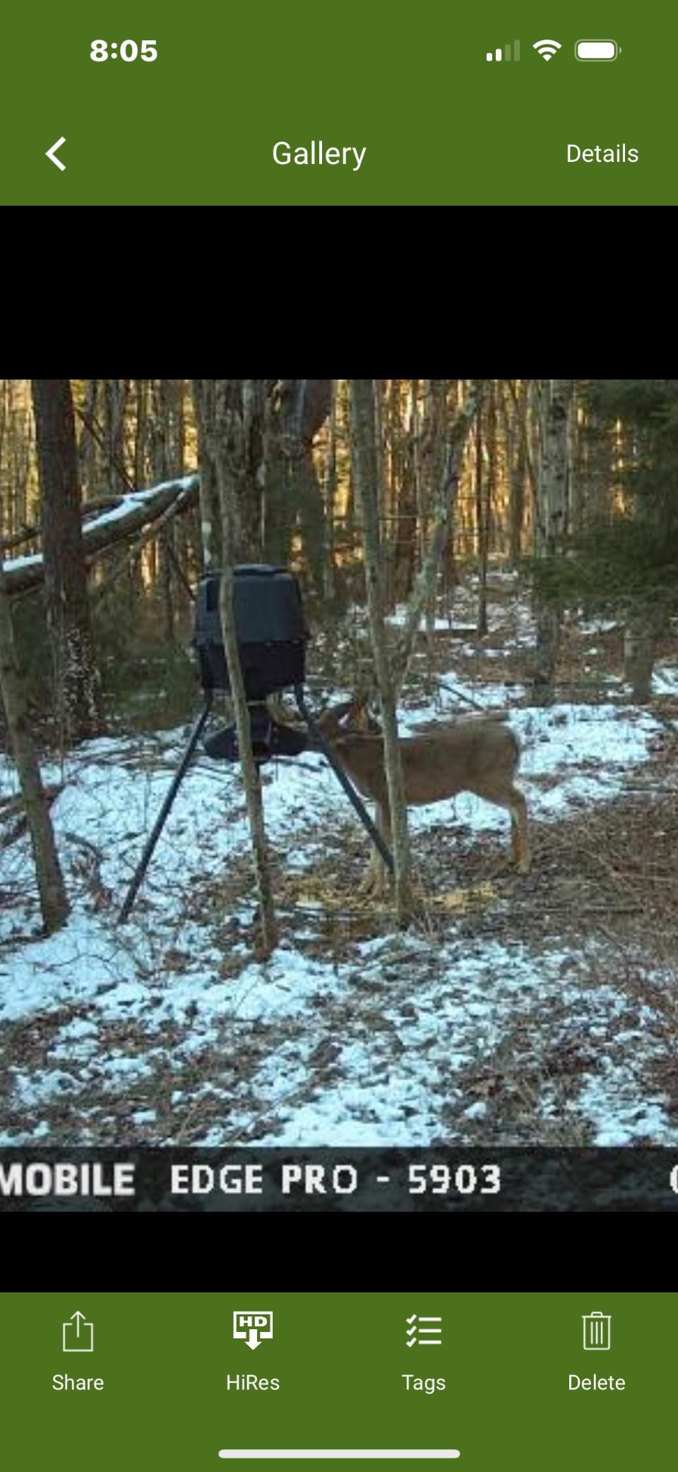 Moultrie Gravity Deer Feeder - Tripod Game Feeder - Easy Conversion Adapter - Protein Pellet Ready - Rugged No-Power Setup for Deer Management customer photo 2