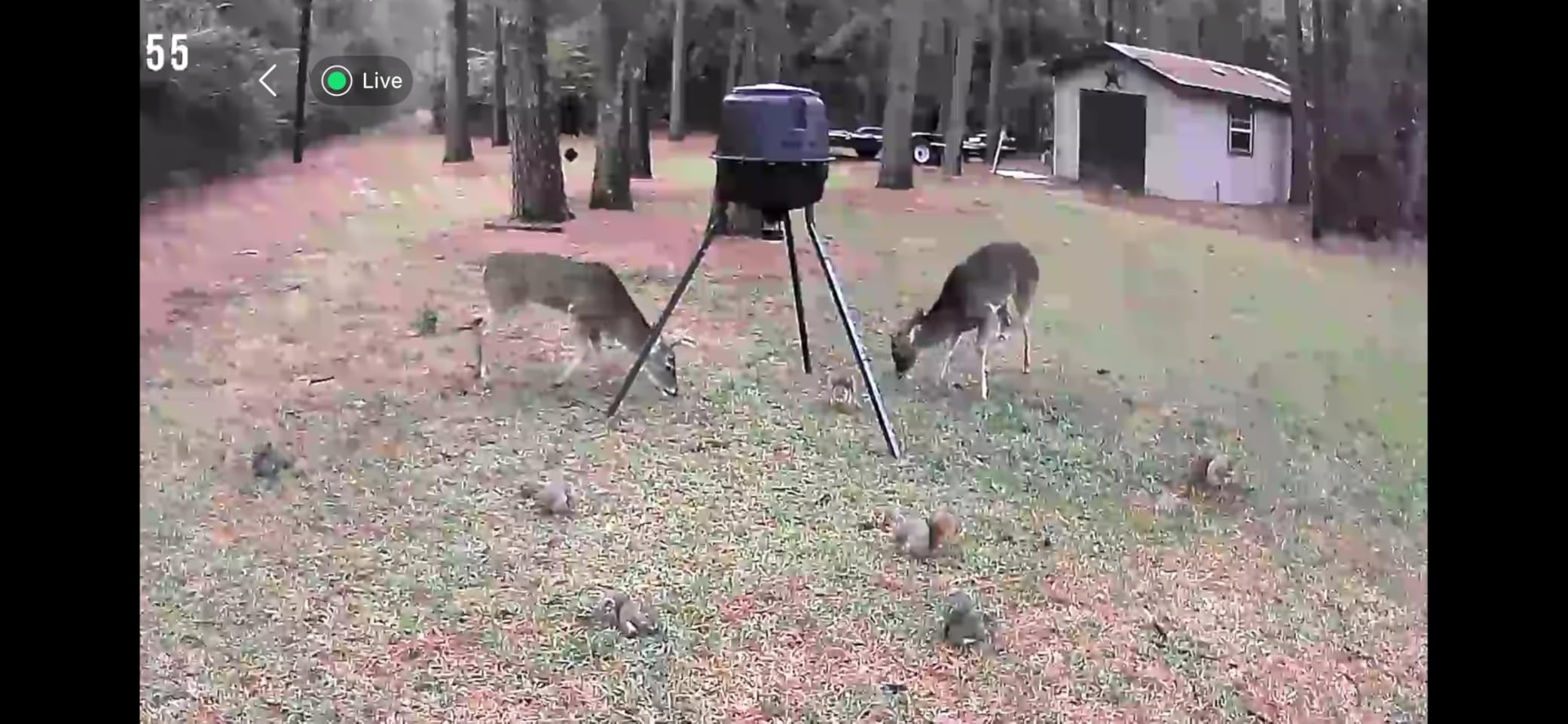Moultrie 200 Lb Deer Feeder Standard - Bluetooth App Control, Pairs with Edge 3 for Full Remote Access, No Subscription customer photo 2
