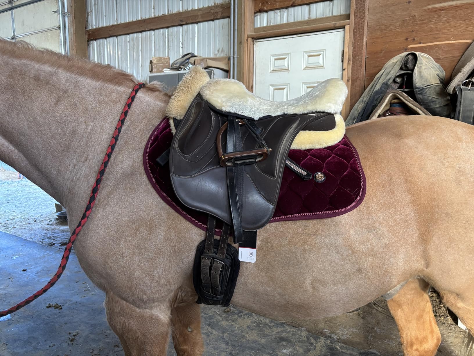 Harrison Howard Close Contact Saddle for Horse Riding Training English Saddle Pad Soft Cushioning for Horse Back customer photo 2