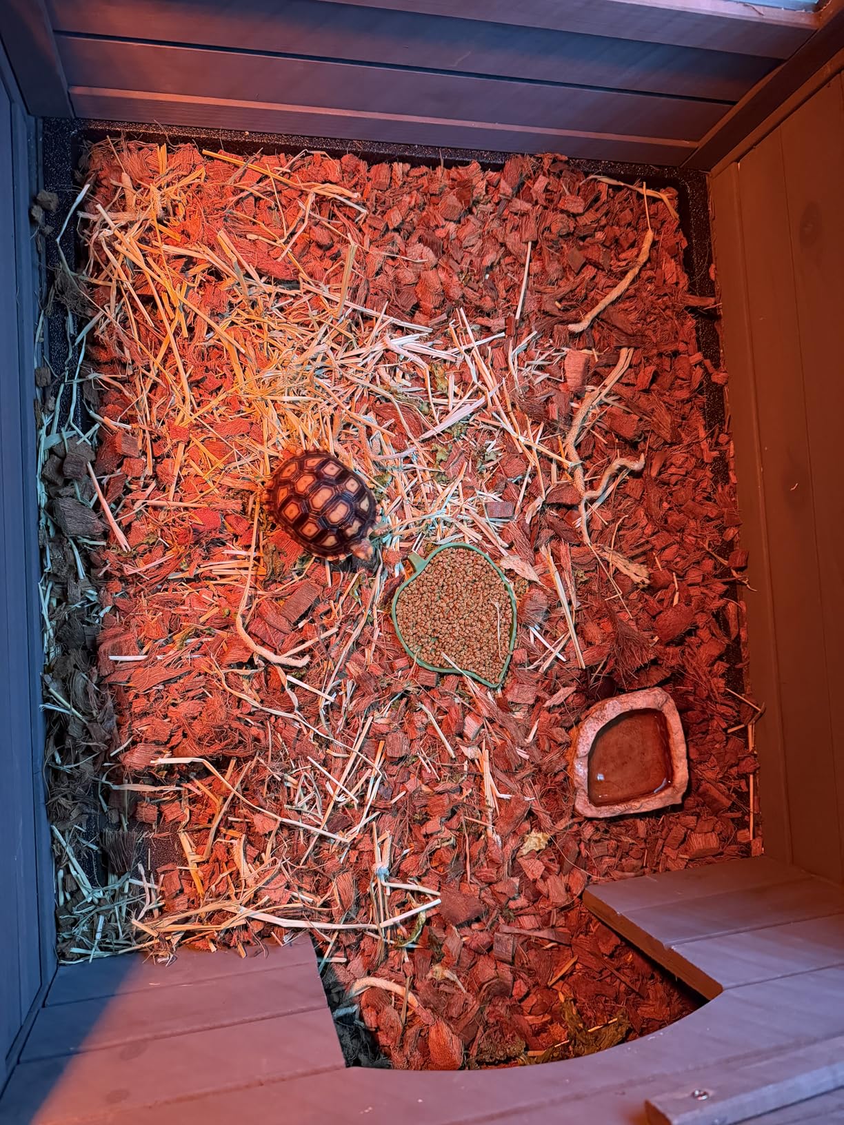 Aivituvin Tortoise Habitat House Indoor, Wooden Tortoise House Reptile Enclosure Outdoor Amphibians Cage for Gecko Lizard Snake customer photo 1