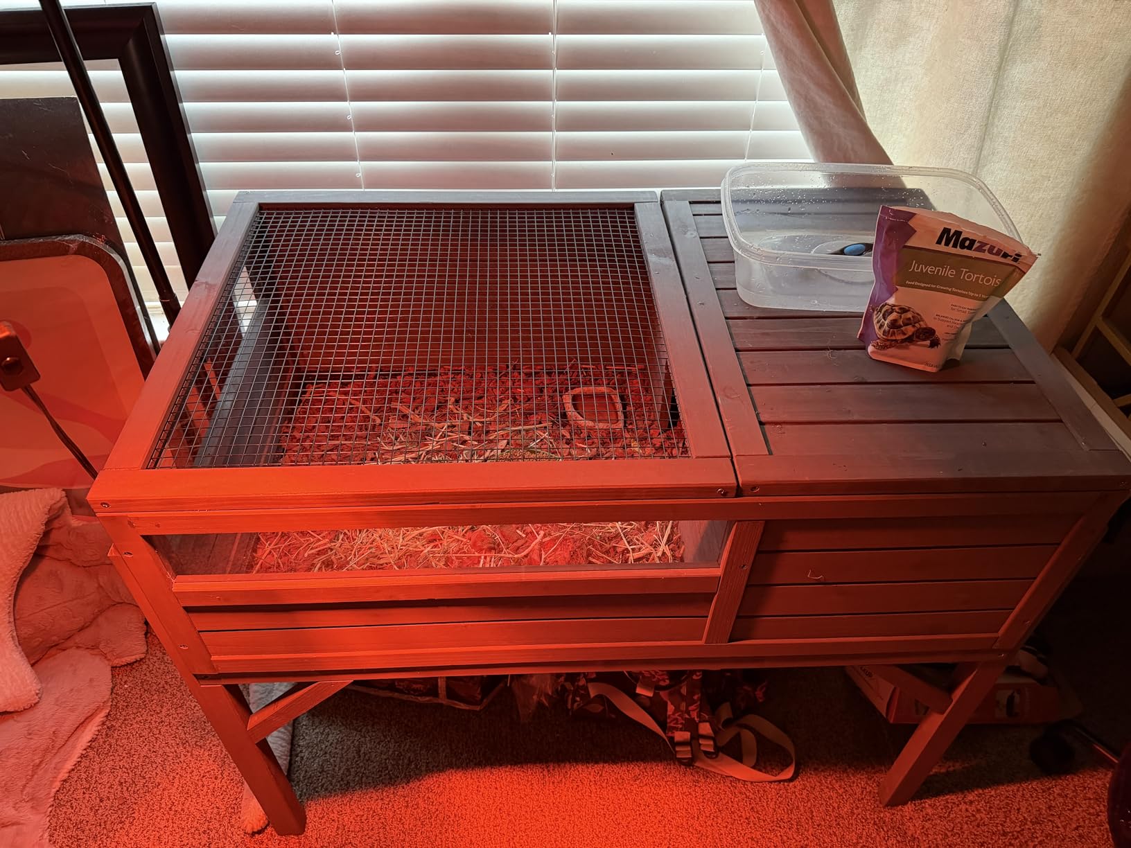 Aivituvin Tortoise Habitat House Indoor, Wooden Tortoise House Reptile Enclosure Outdoor Amphibians Cage for Gecko Lizard Snake customer photo 2
