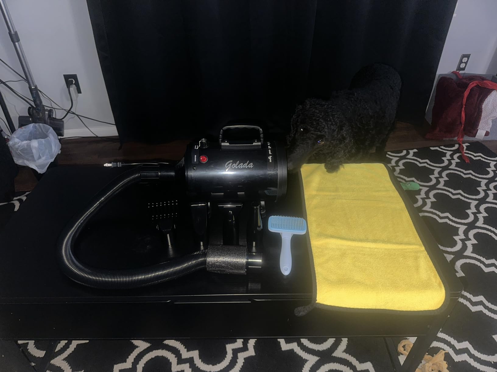 Dog Dryer for Pet Grooming, High-Velocity Force Blow Dryer, Speed Temperature Adjustable Dog Blower Grooming Dryer with 4 Nozzles customer photo 2