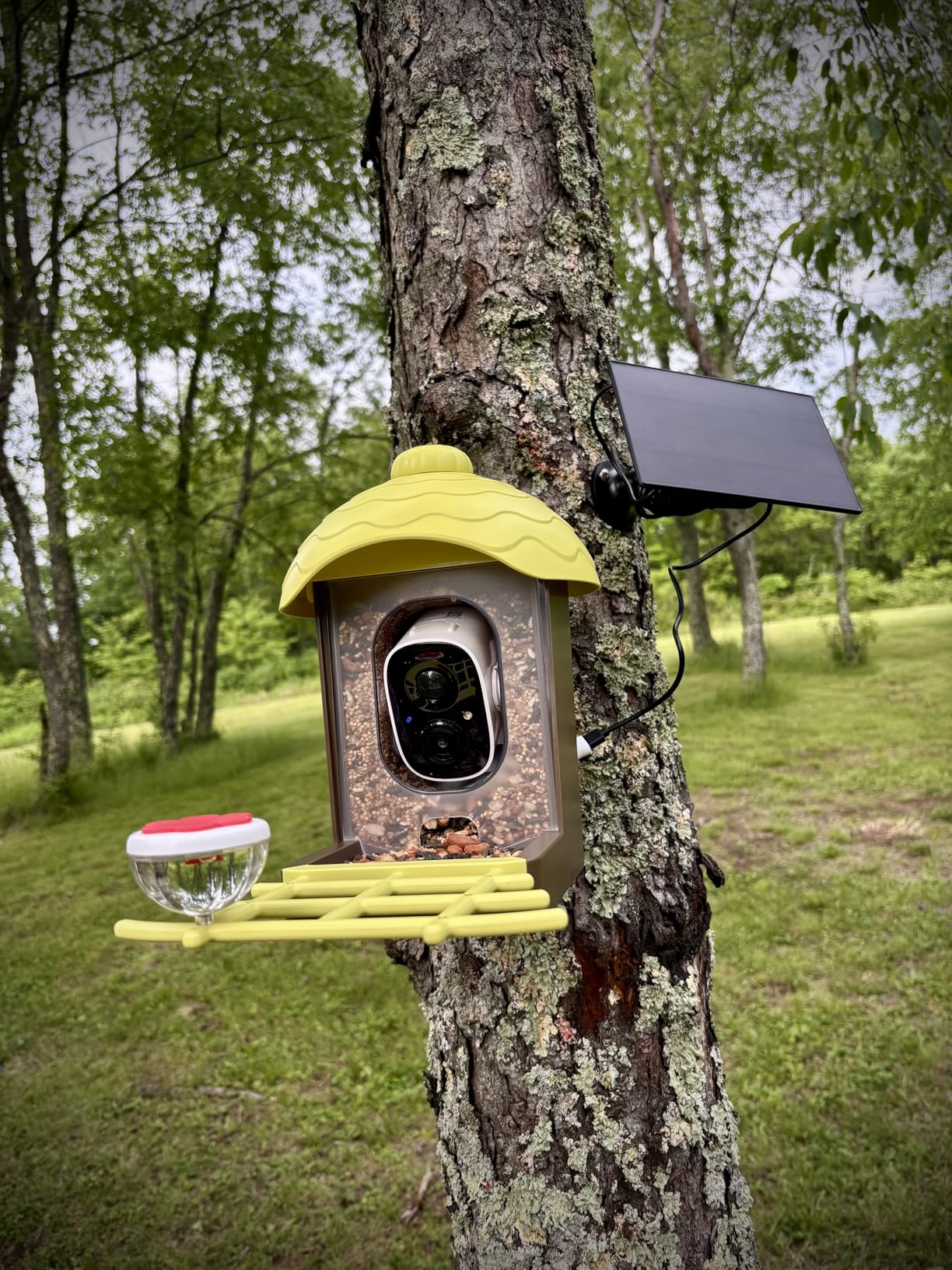 Smart Bird Feeder with Camera Outdoor: 2K Wild Bird Watching Video Cam - Unique Gifts for Nature Lover - Birds House Window at Garden IP66 Solar Charged & Squirrel-Proof Alarm customer photo 1