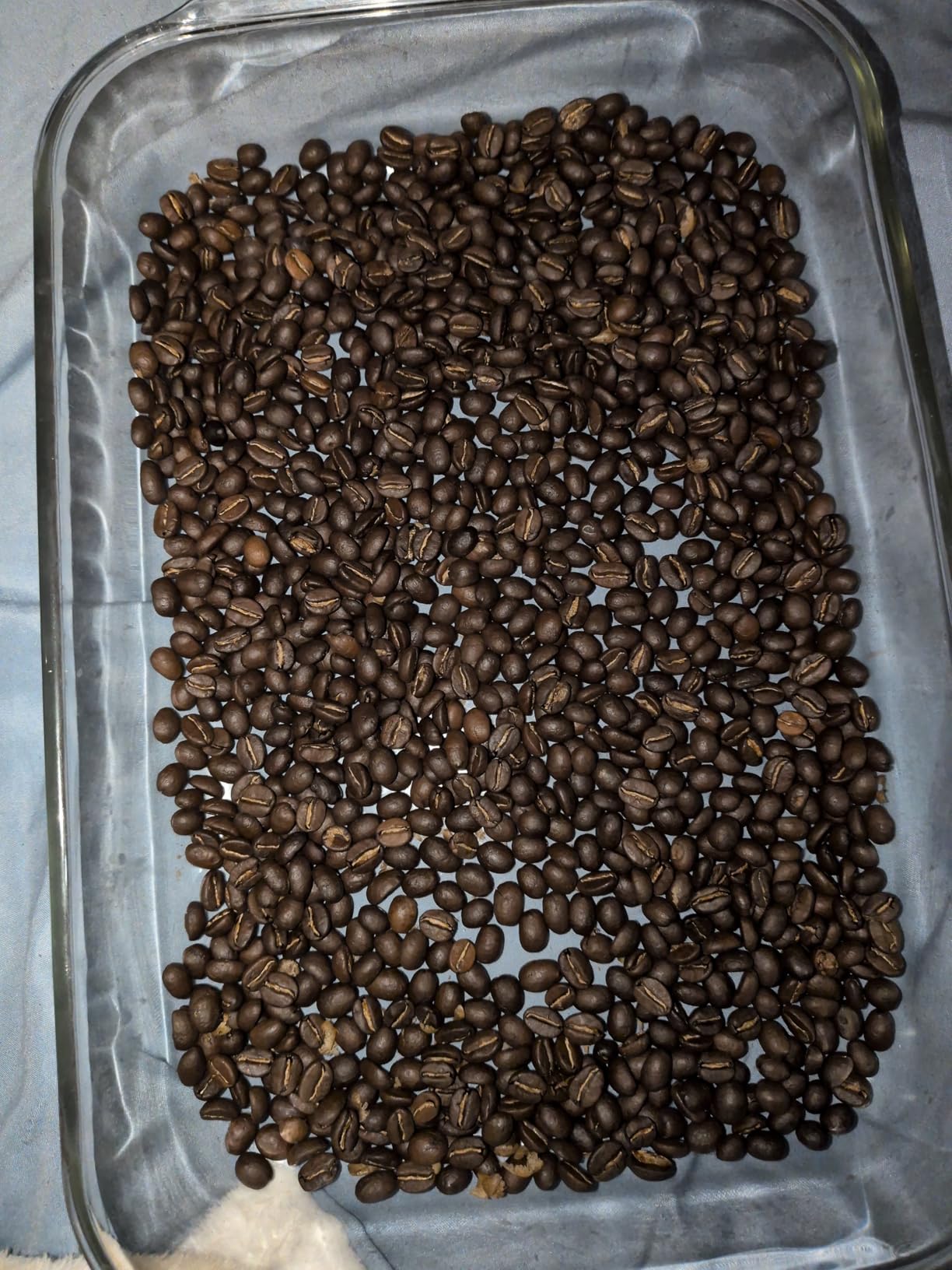 Electric Coffee Bean Roaster Machine for Home Use - 1500W Air Coffee Roaster with Adjustable Temperature & Timer, Built-In Chaff Collector & Air Circulation 100g Capacity customer photo 1