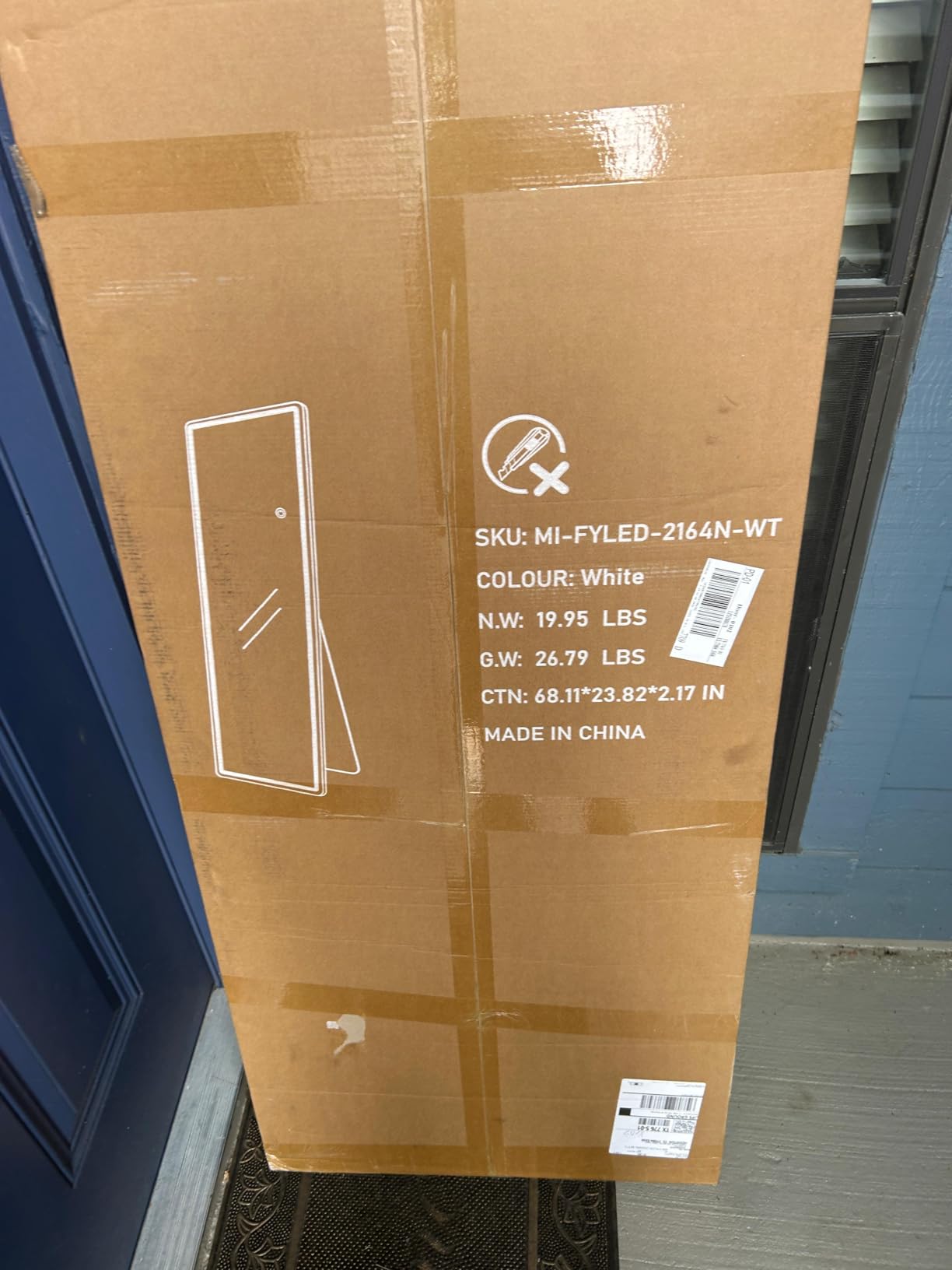 Sweetcrispy Full Length Mirror with LED Lights, 65