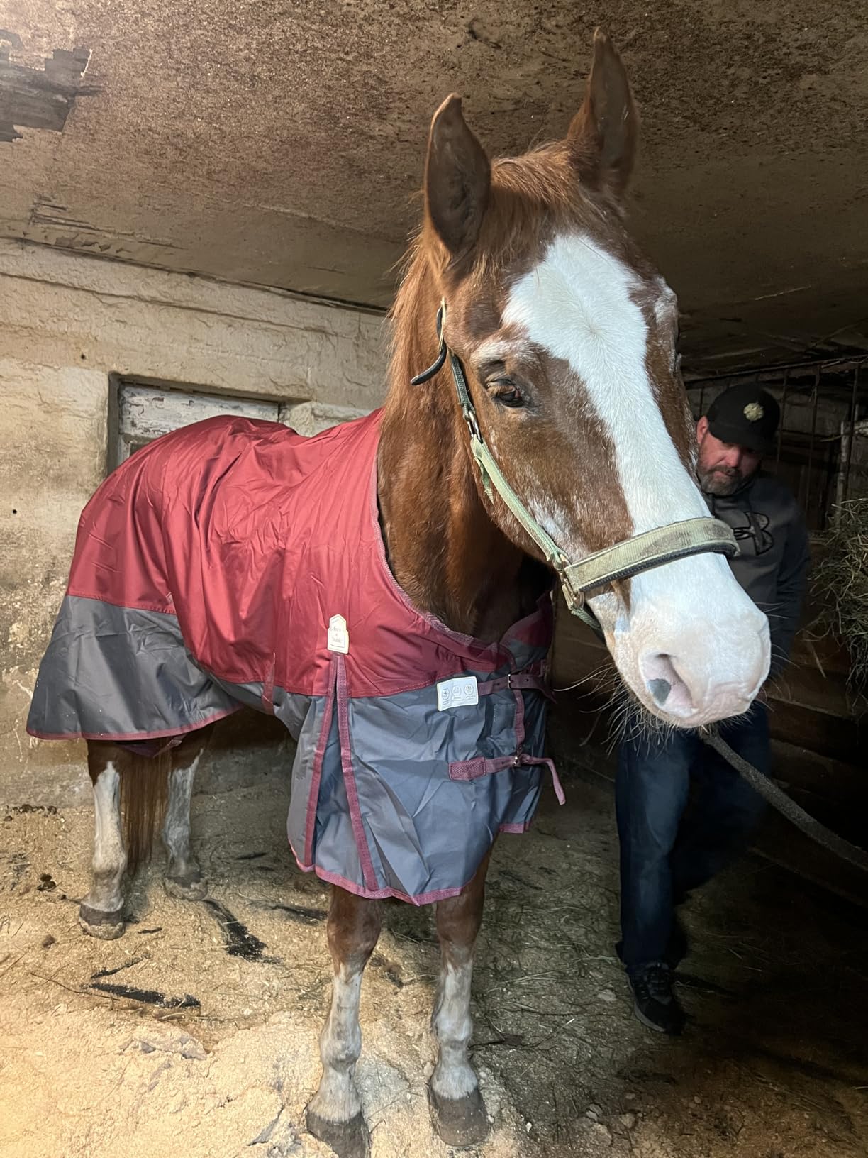 BARN & STABLE 600Denier 3000mm/3000mvp Super Waterproof & Breathable Horse Blankets for Winter with 200g Fill customer photo 2