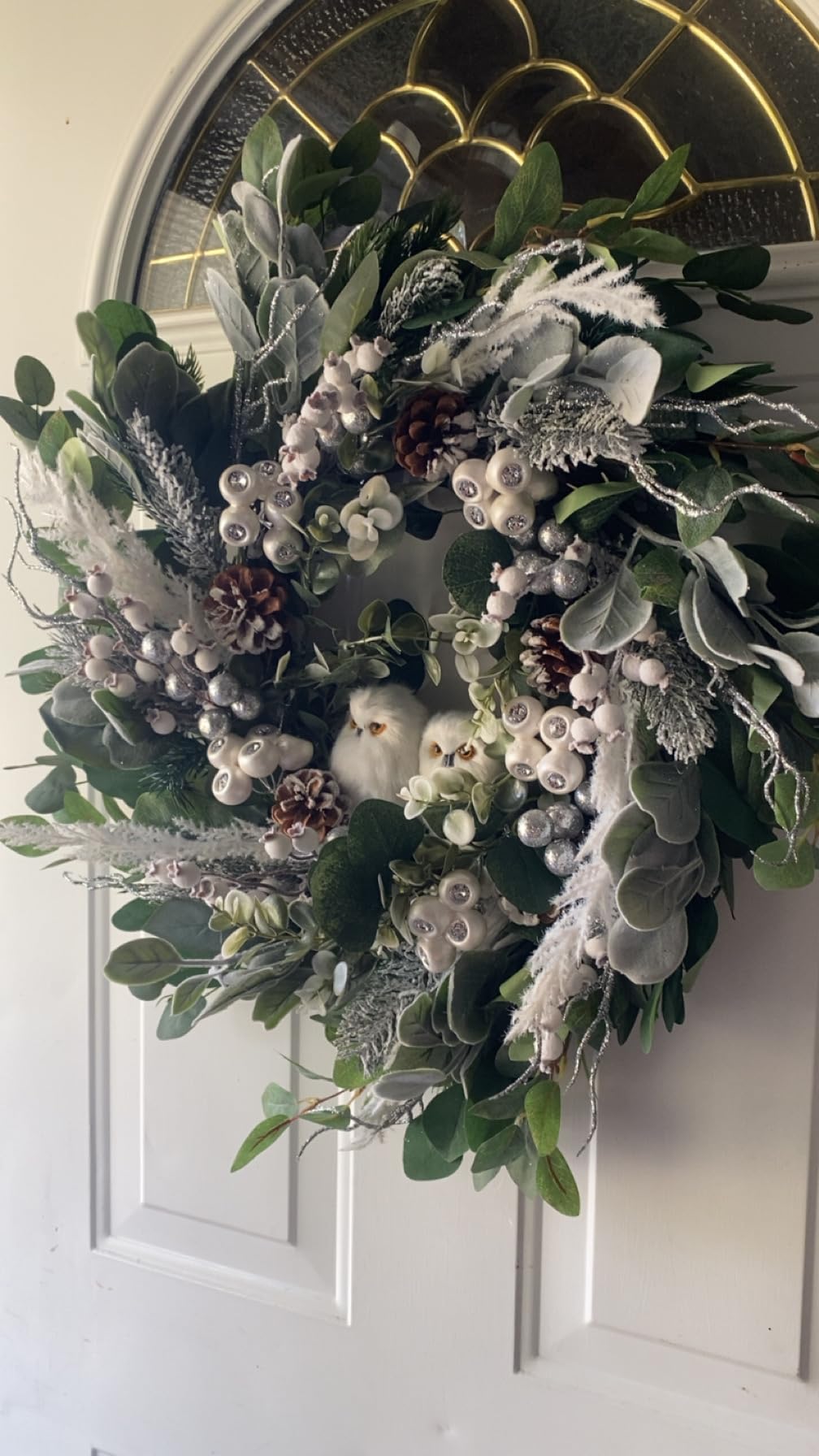 Winter Wreath for Front Door, 24 Inch Christmas Wreath with Owl Decor, Pine Cones, and Evergreen Greenery, Festive Winter Door Decor, Artificial Holiday Farmhouse Rustic Wreath customer photo 1