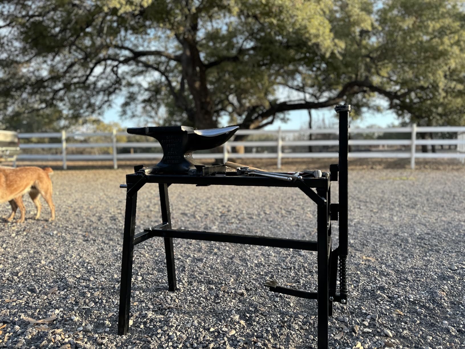 VEVOR Single Horn Anvil, 66 lbs, High Hardness Cast Steel, Rugged Round Horn Anvil Blacksmith, with Pritchel and Hardy Hole, Large Countertop Stable Base, Metalsmith Tool for Bending and Shaping customer photo 2