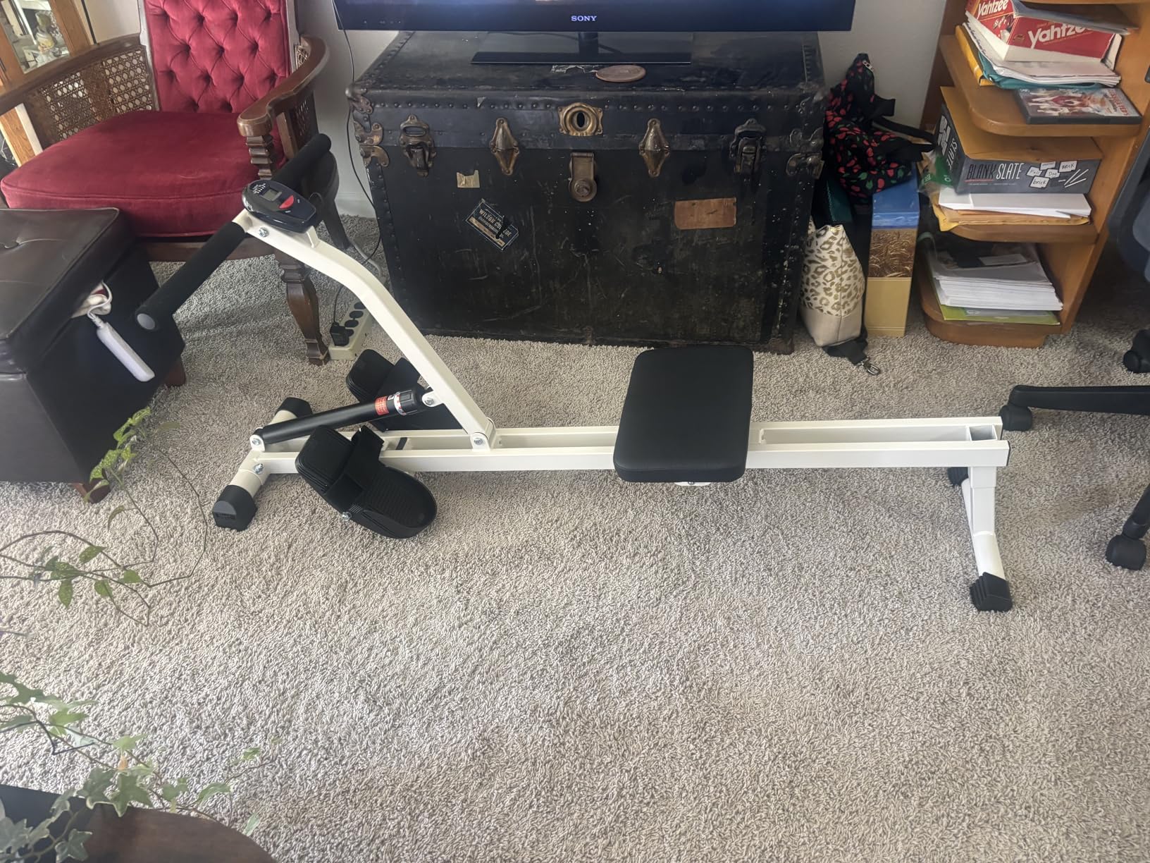 FEIERDUN Hydraulic Rowing Machine for Home, Compact Adjustable Rower with 12 Resistance Levels, 300LBS Weight Capacity, Full Body Workout Equipment customer photo 2