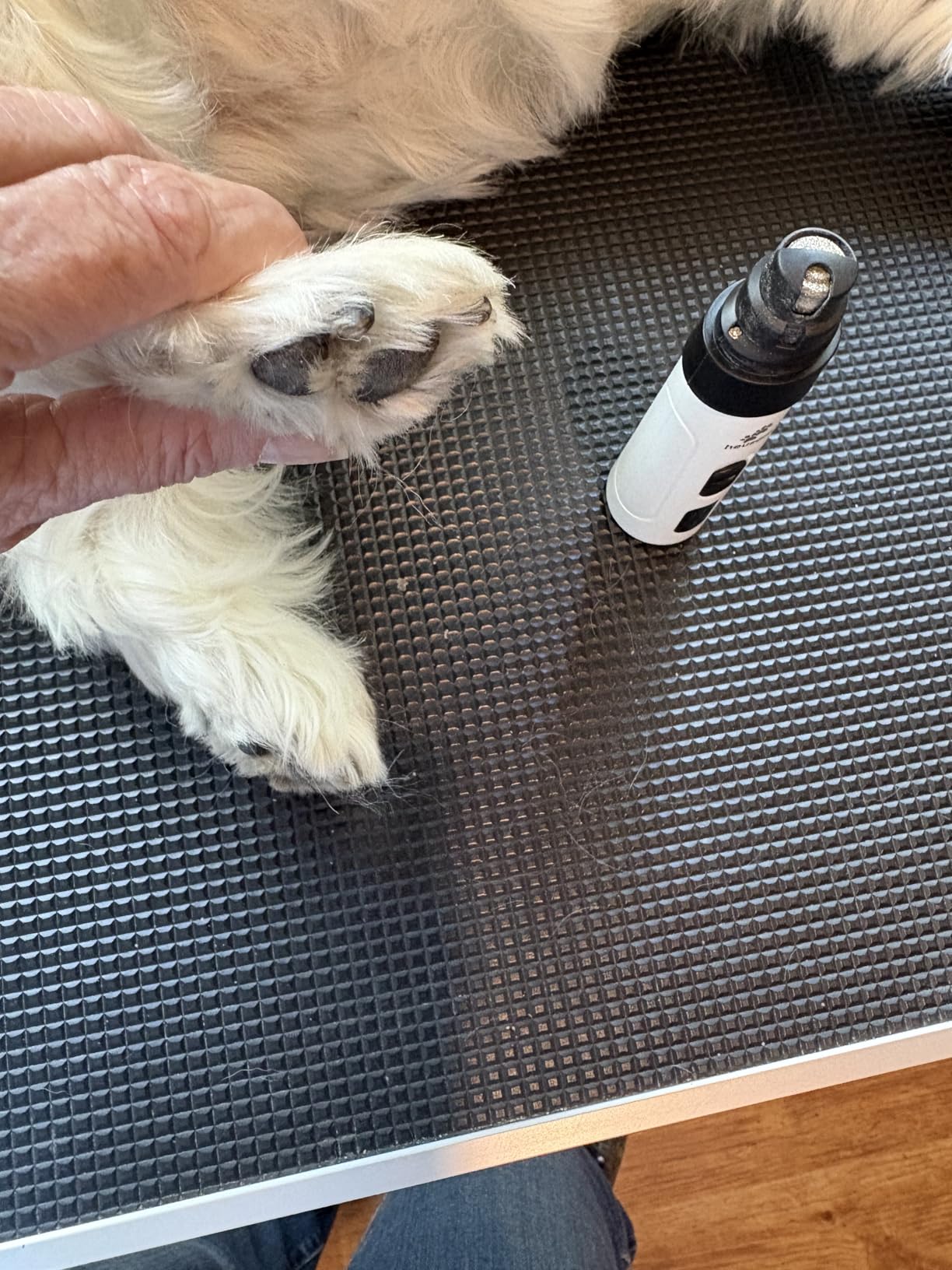 Silent Groom Pro Pet Nail Grinder | Whisper Quiet Claw Trimmer for Dogs, Cats and Other Animals | Safe & Stress Free Nail Grooming, Ideal for Sensitive Dogs of All Breeds & Sizes customer photo 2