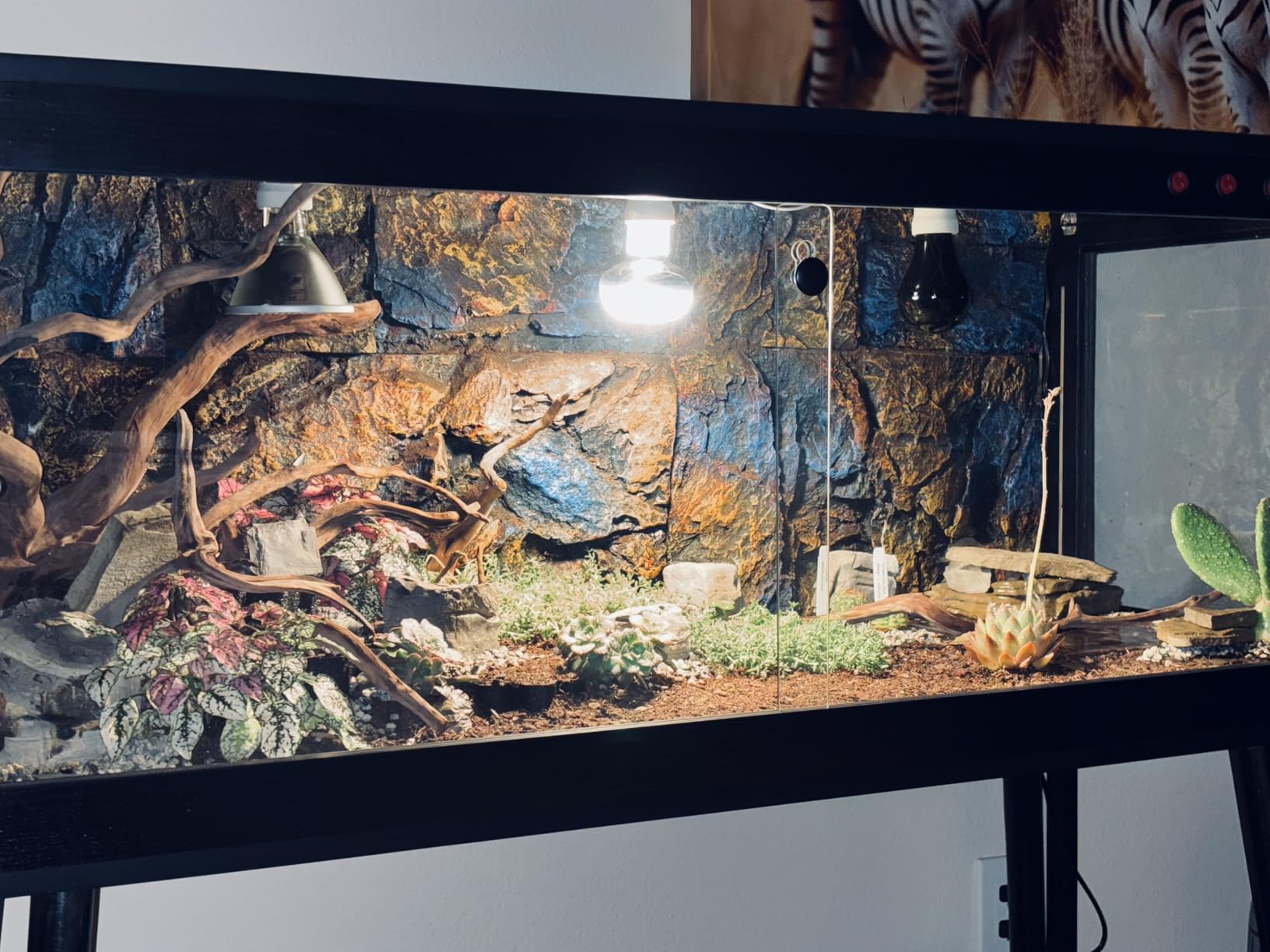 Royxen Bearded Dragon Tank, 82 Gallon Tank with Stand, Built-in Lighting Reptile Enclosure, Tempered Glass Bearded Dragon Enclosure for Chameleon (Black, 48