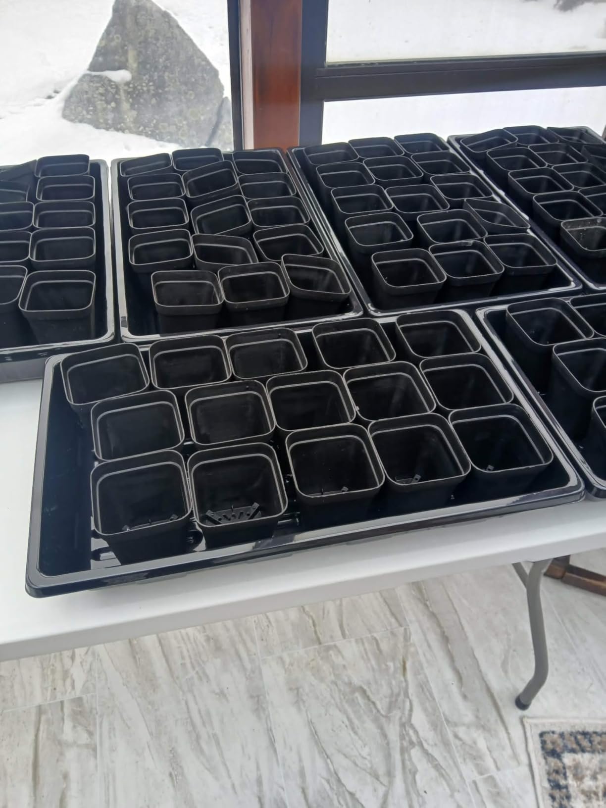 Sckee Upgraded 10 Pack Plant Growing Trays Seed Starting Tray Microgreens Growing Trays Seedling Plant Germination Starter Tray Transplant Fodder Flats, No Holes, No Leakage, Reusable (1015) customer photo 1