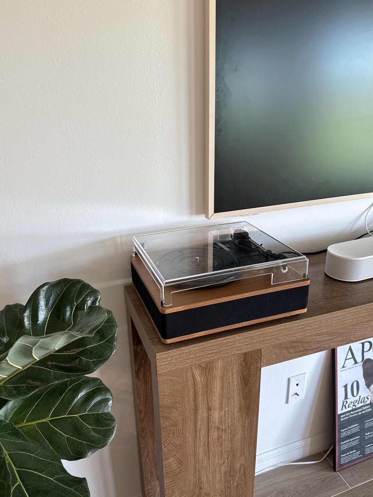 Vinyl Record Player Bluetooth Turntable with Built in Stereo Speakers Belt Drive 3 Speeds Vintage Turntables for Vinyl Records customer photo 1