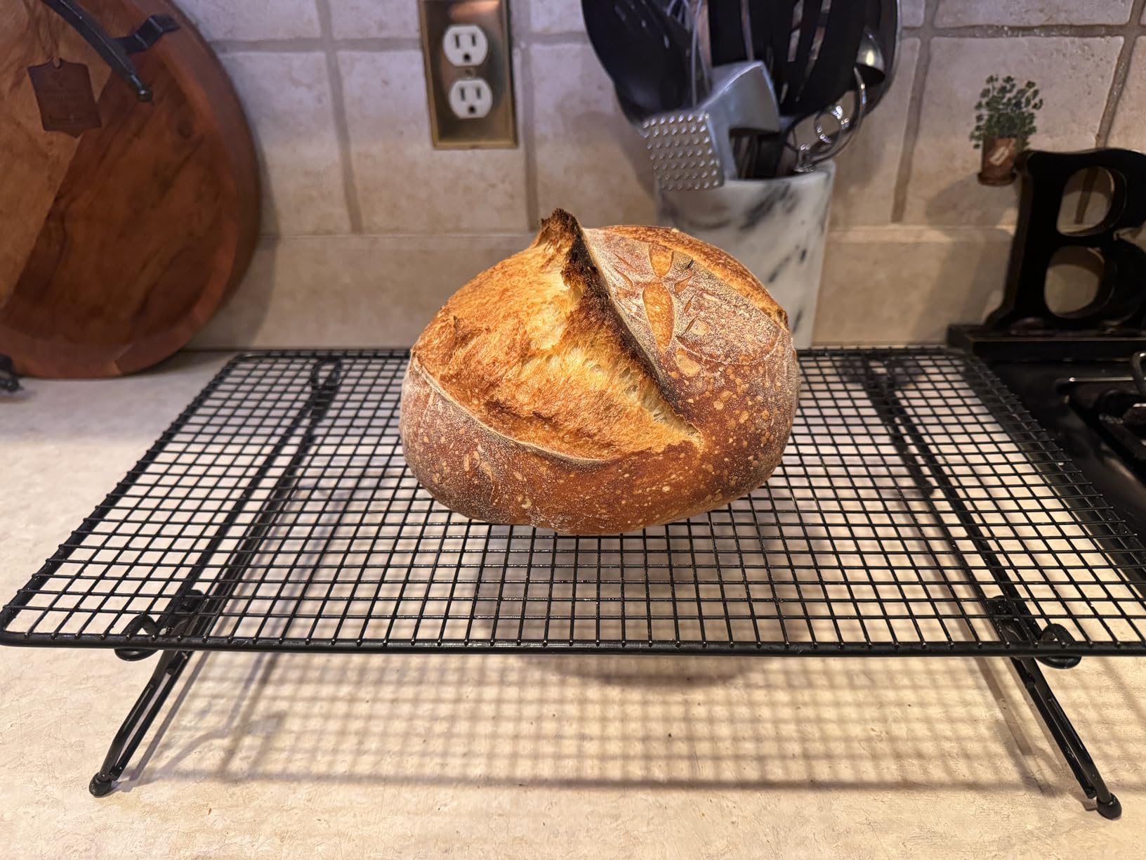 Superbaking Sourdough Starter Kit, 9