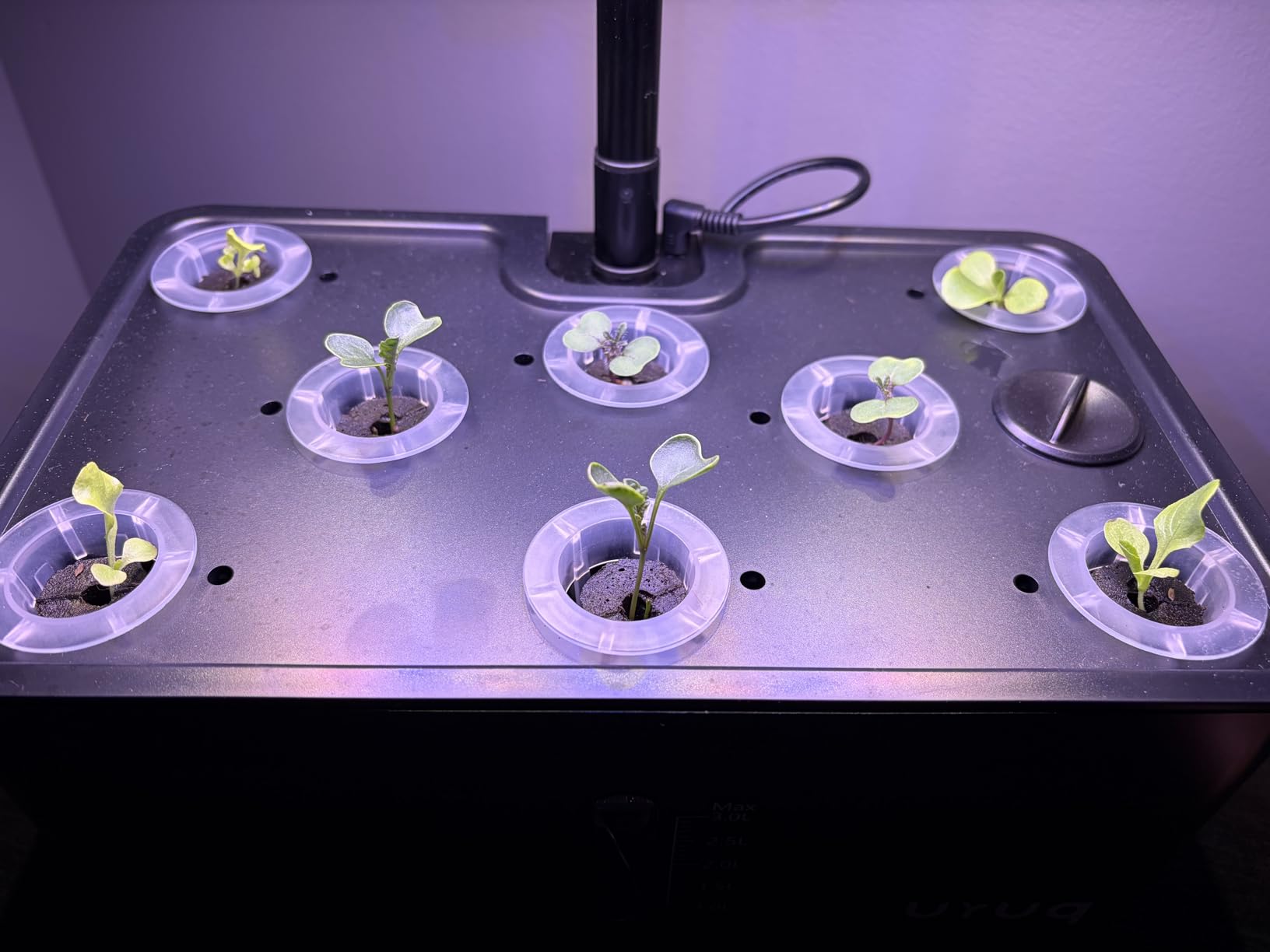 URUQ Hydroponics Growing System Garden: 8 Pods Indoor Herb Garden with Grow Light Plants Germination Kit Quiet Automatic Hydroponic Height Adjustable - Gardening Gifts for Women Kitchen customer photo 2