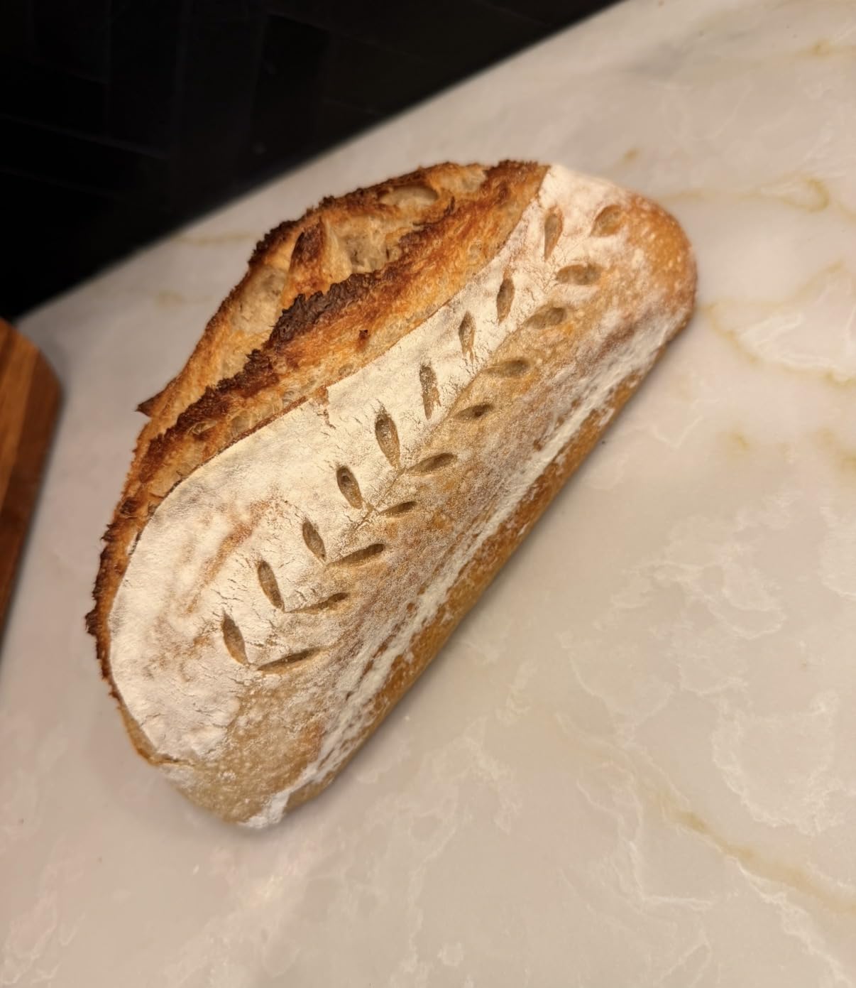Brod & Taylor Banneton Batard 10