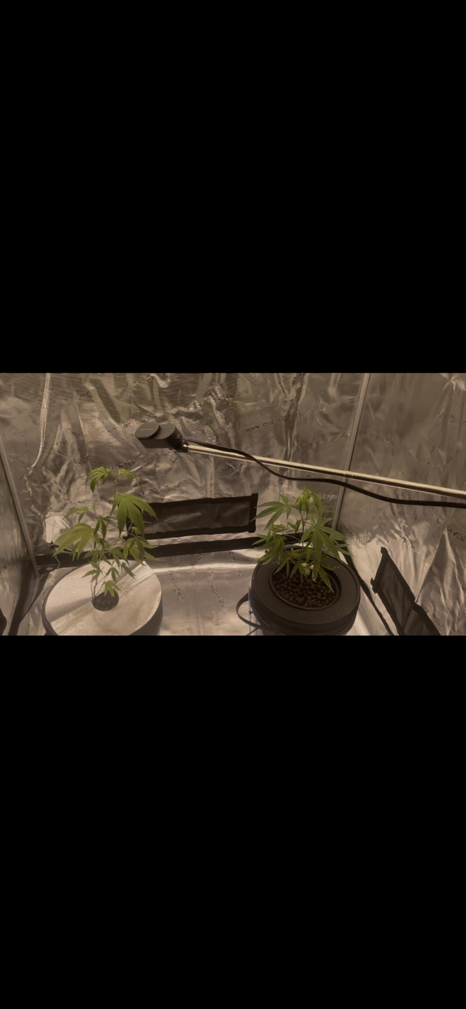 MARS HYDRO 4x2x6 Grow Tent Pro, 48