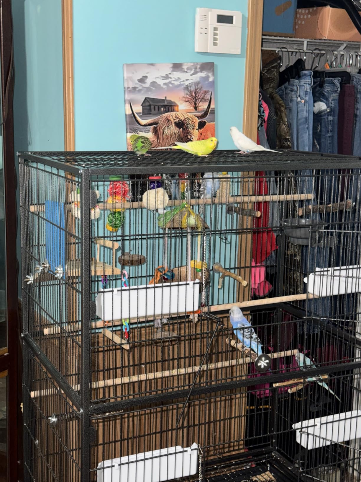 VEVOR Bird Cage, 36.6 x 22.8 x 59.5 inch, Flat Top, Wrought Iron Bird Flight Cage with Perches, Slide-Out Tray and Plastic Feeders, for Blue Tit, Cockatiel, Canary, Monk Parakeet, African Grey Parrot customer photo 1