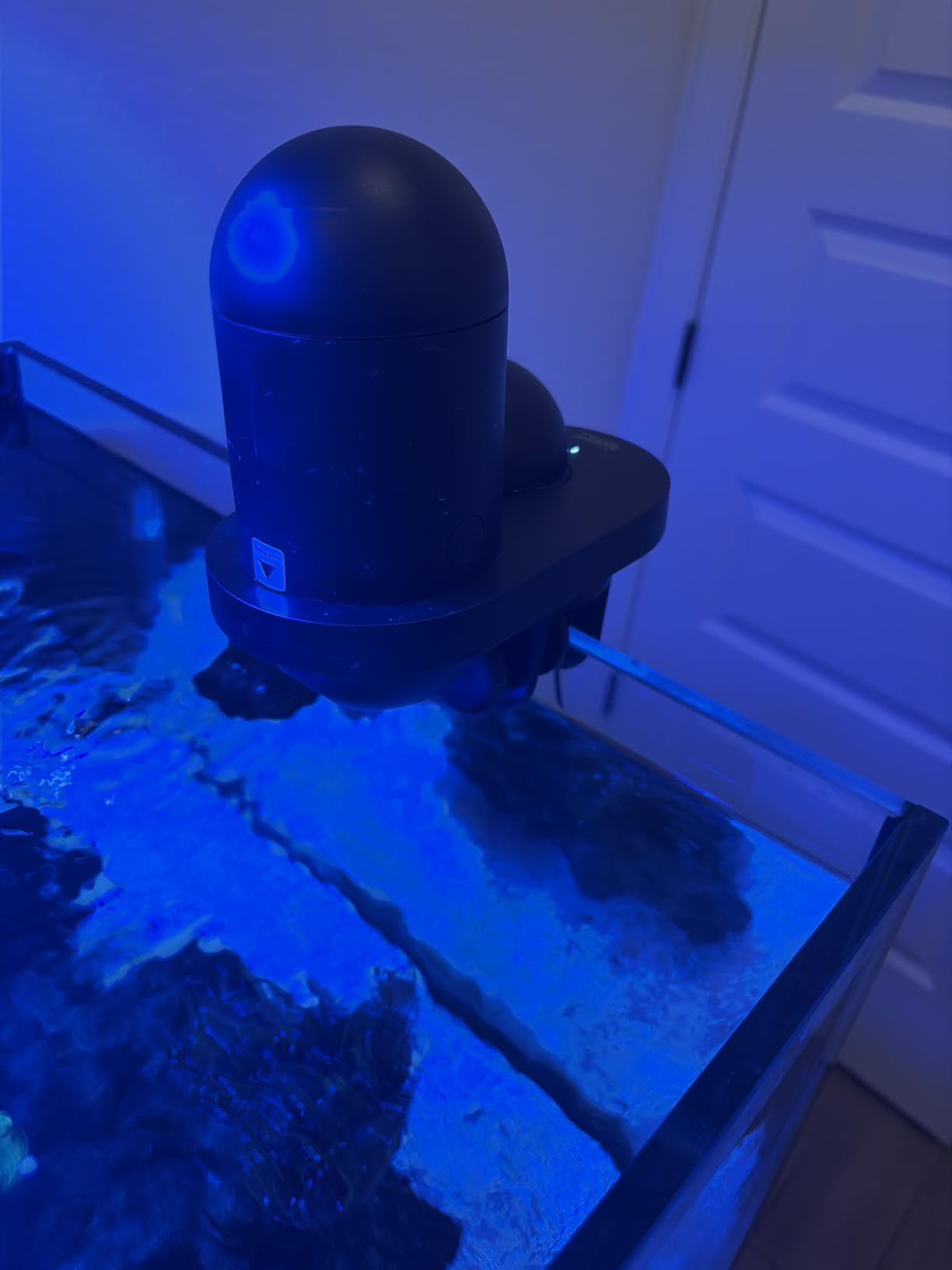 hygger WiFi Automatic Fish Feeder for Aquarium, Smart App Control Auto Fish Food Dispenser with Camera and Timer, Vacation Feeder with 230ml Large Capacity and USB Cable for Turtle Betta Koi Tank customer photo 1
