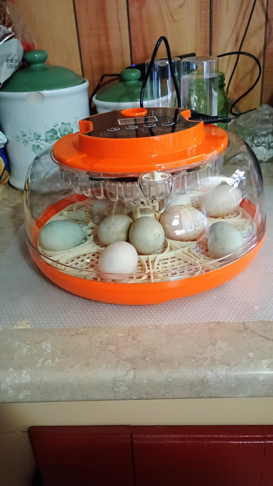 18 Egg Incubators for Hatching Eggs, Automatic Egg Turning and Humidity Control Incubator for Hatch Chicken Duck Quail Pigeon Pheasant Partridge Home Classroom Lab customer photo 2