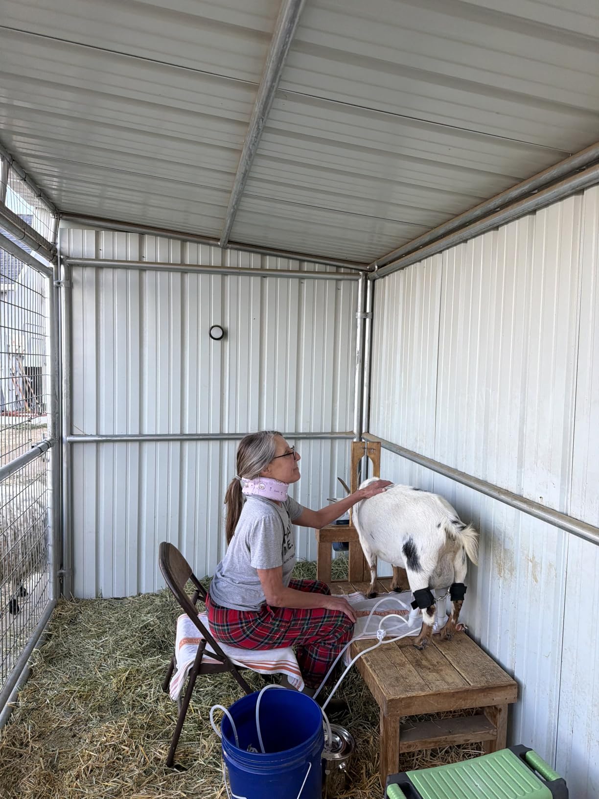 3L Goat Milking Machine,Battery Rechargeable Portable Milker,304 Food Bucket customer photo 1