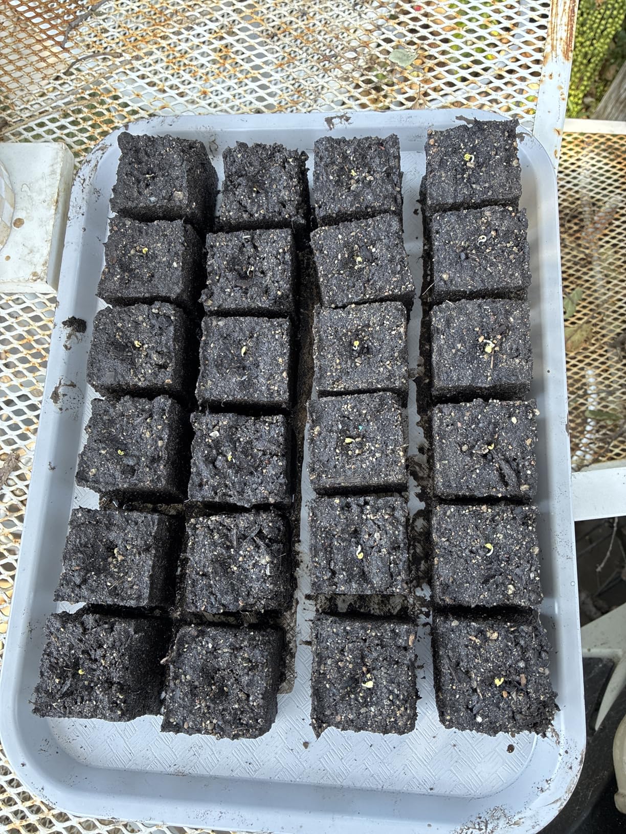Soil Block Maker Bundle - Large 2