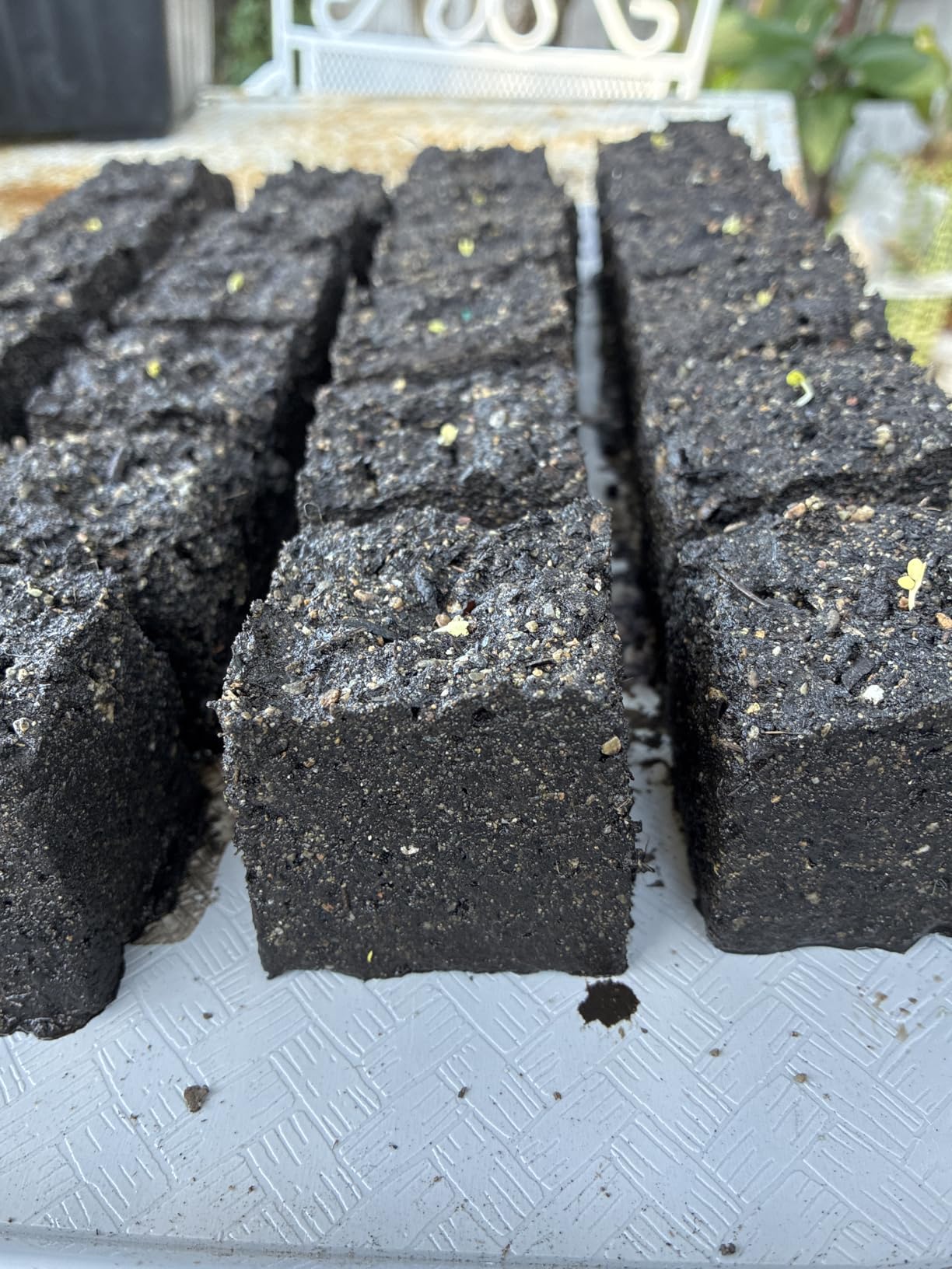 Soil Block Maker Bundle - Large 2