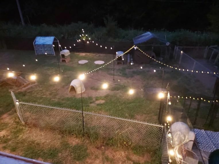 Beizelte Outdoor String Lights, 150FT RGB+IC Outside Light Dimmable Shatterproof LED Bulbs, IP67 Waterproof Chasing Effect Lighting DreamColor Patio Strip Lights for Backyard, Balcony, Outdoor Living customer photo 1