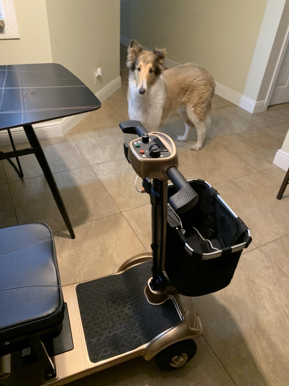 MIHAYO Lightweight 4-Wheel Mobility Scooter for Seniors and Adults, Airline Approved 24 Miles Range Electric Scooter with 280 lbs Capacity, 350W Motor and 32L Storage Wagon, Slate Blue customer photo 2