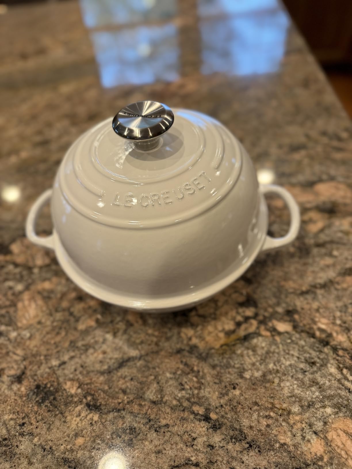 Le Creuset Enameled Cast Iron Signature Oval Bread Oven, 11.5 inch, Artichaut customer photo 2