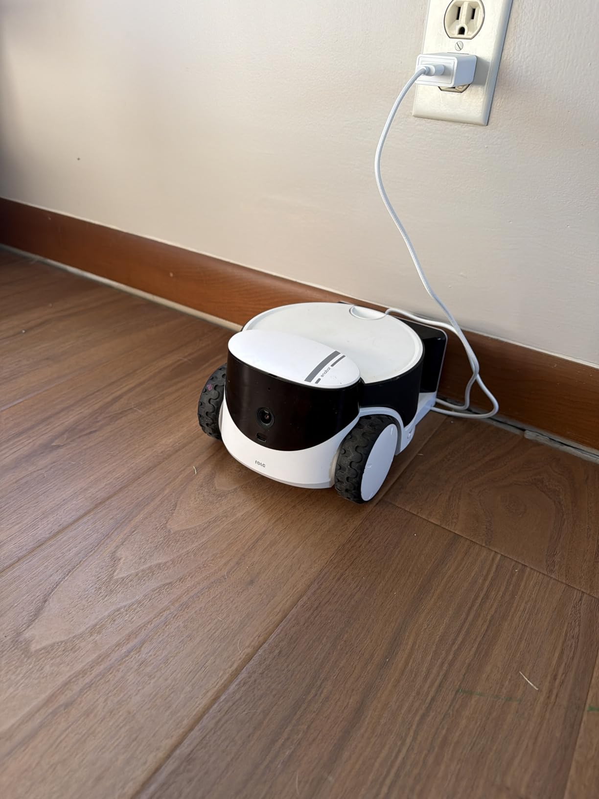 Enabot EBO ROLA PetPal FamilyBot Pet Camera Robot with Treat Dispenser: 2.5K Mobile Dog Camera Robot Battery-Powered with Phone App, 2-Way Talk, Night Vision, Interchangeable Modular Design customer photo 1