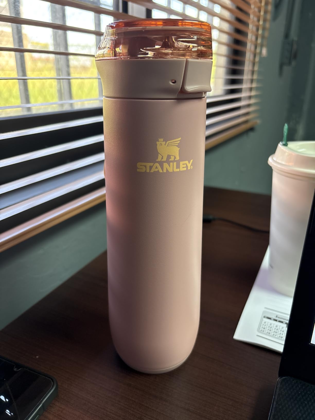 STANLEY Flowstate Spring Bottle | Leakproof Water Bottle with Carry Strap & Flip-Top Locking Lid | Insulated Stainless Steel | Fits Most Cup Holders | BPA-Free | 20 oz | Blue Sky customer photo 1