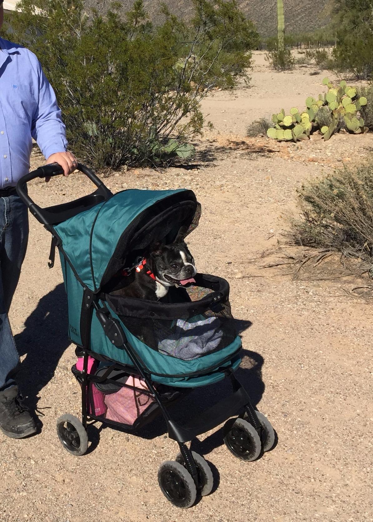 Pet Gear No-Zip Happy Trails Pet Stroller for Cats/Dogs, Zipperless Entry, Easy Fold with Removable Liner, Storage Basket + Cup Holder, Caribbean Blue customer photo 2
