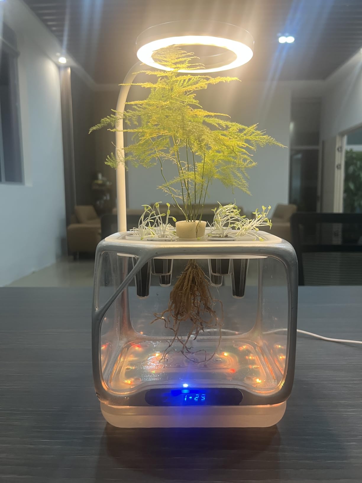 Aeroponics Growing System with Grow Light & Humidifier - Smart Indoor Garden, Visual Root Observation, RGB Mood Lighting, for Plants, Mushrooms - Desktop Hydroponic Planter customer photo 1