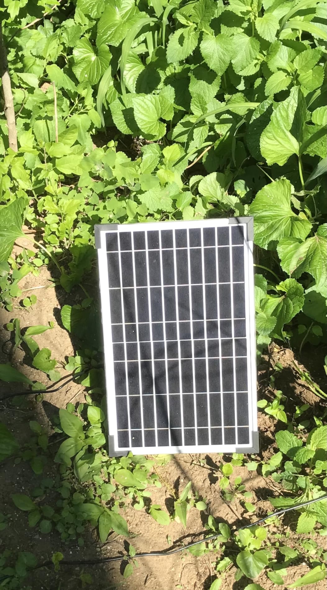 POPOSOAP Solar Fountain Pump, 12W Solar Water Pump Kit with 4400mAh Battery Backup Work All Day, 8 Nozzles & PVC Tubing, Solar Pond Pump for Bird Bath Garden Pond Fish Tank P112D customer photo 2