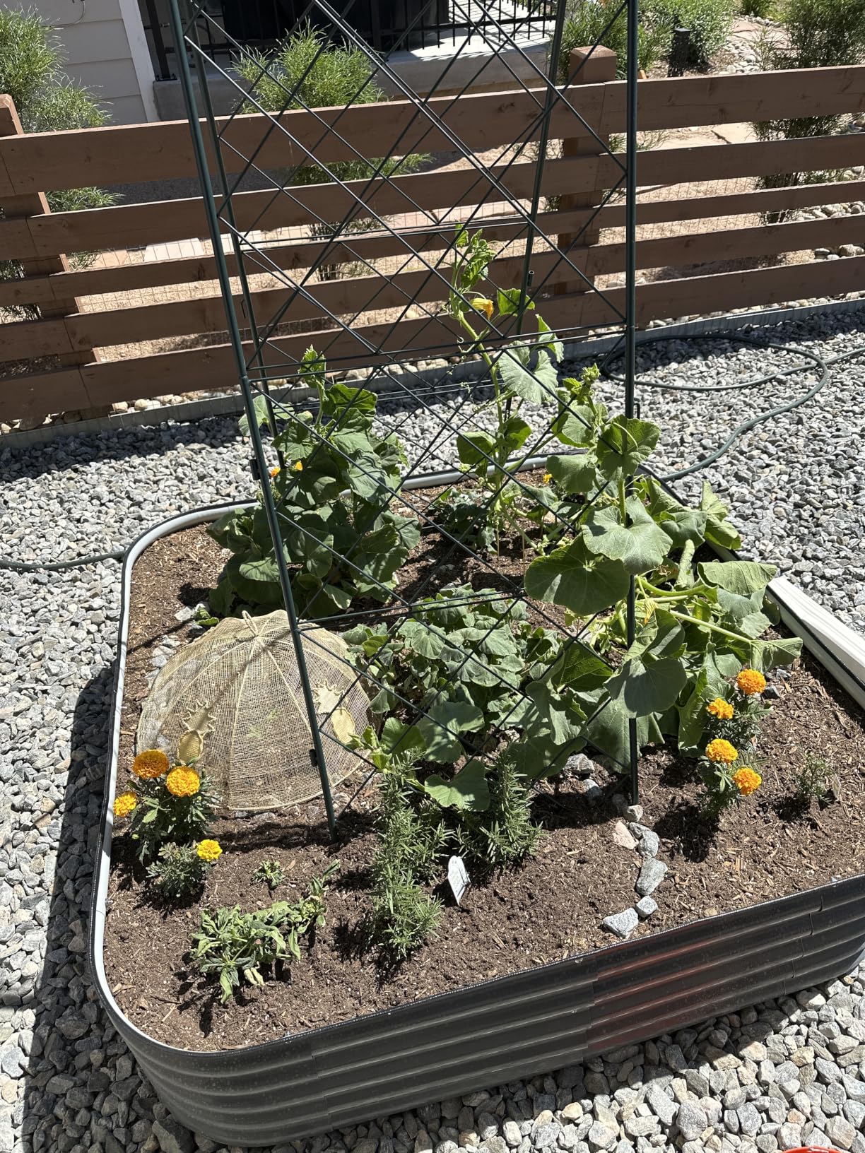 Vego Garden A-Frame Trellis 80
