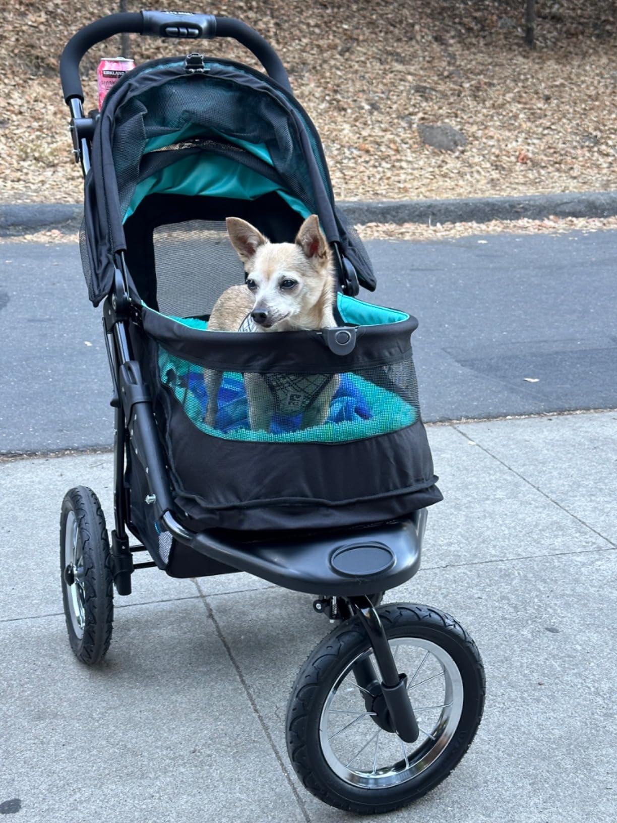 Pet Gear No-Zip NV Pet Stroller for Cats/Dogs, Zipperless Entry, Easy One-Hand Fold, Gel-Filled Tires, Plush Pad + Weather Cover Included, Orchid customer photo 1