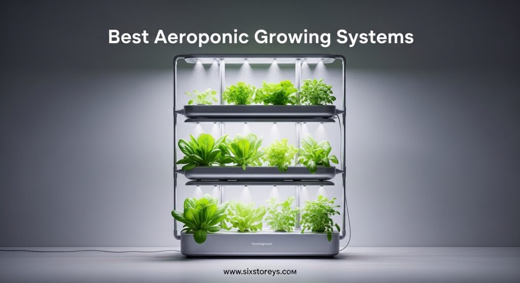 The current image has no alternative text. The file name is: Best-Aeroponic-Growing-Systems.jpeg