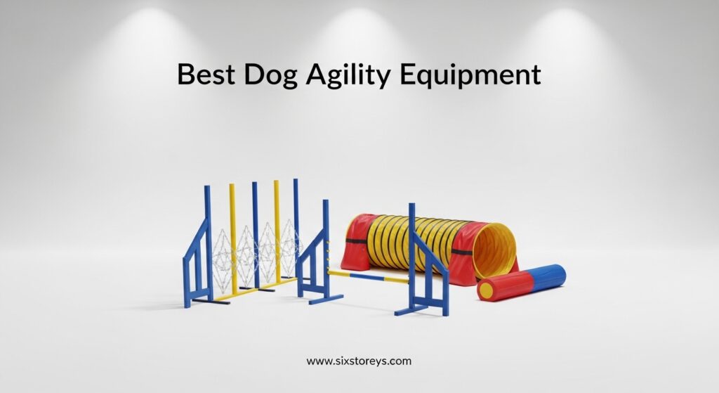 The current image has no alternative text. The file name is: Best-Dog-Agility-Equipment.jpeg
