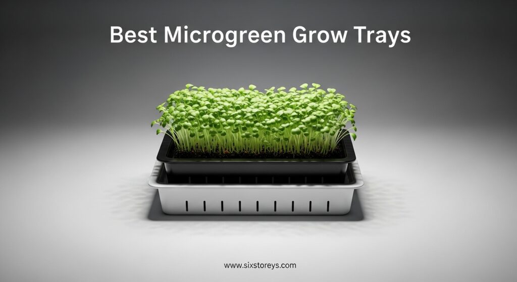 The current image has no alternative text. The file name is: Best-Microgreen-Grow-Trays.jpeg