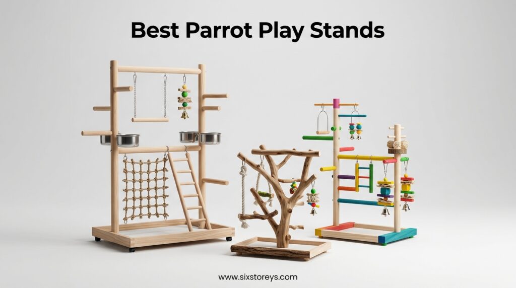 The current image has no alternative text. The file name is: Best-Parrot-Play-Stands.jpeg