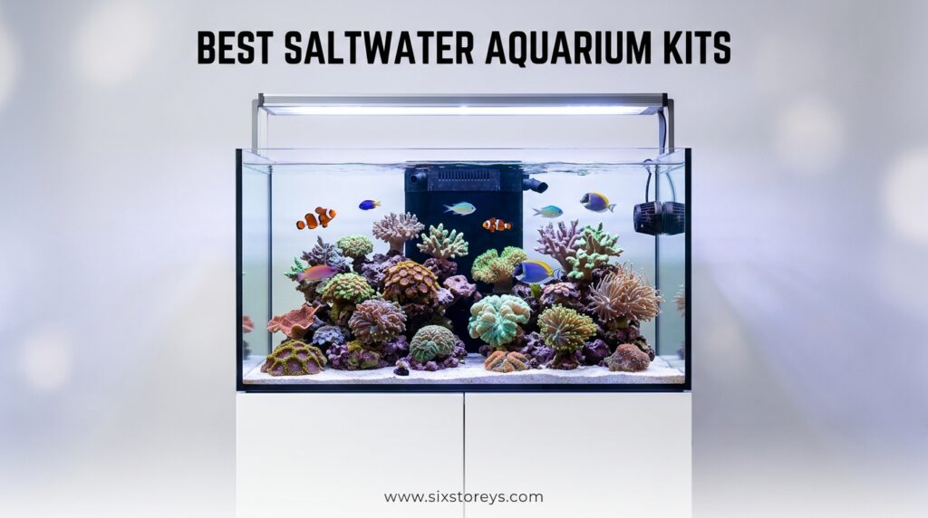 The current image has no alternative text. The file name is: Best-Saltwater-Aquarium-Kits.jpeg