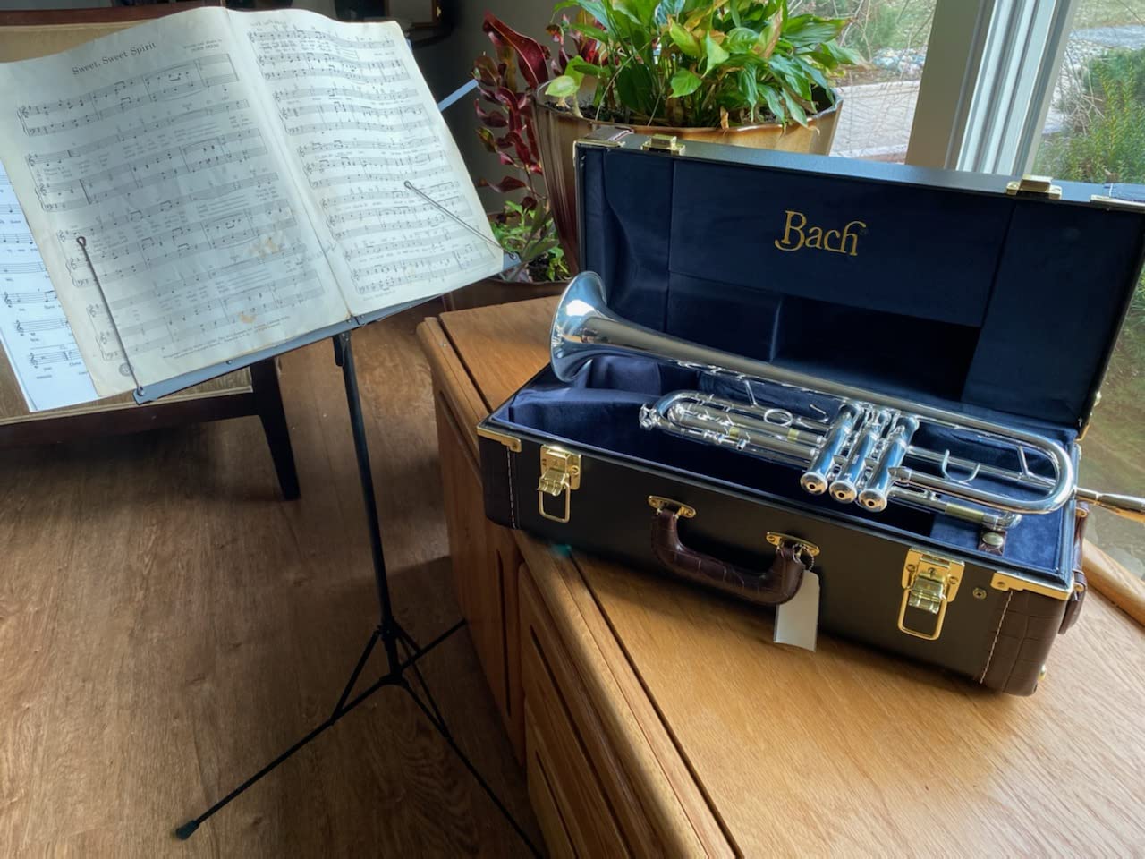 Bach 180S43 Stradivarius Series Bb Trumpet, Silver-Plated customer photo 1